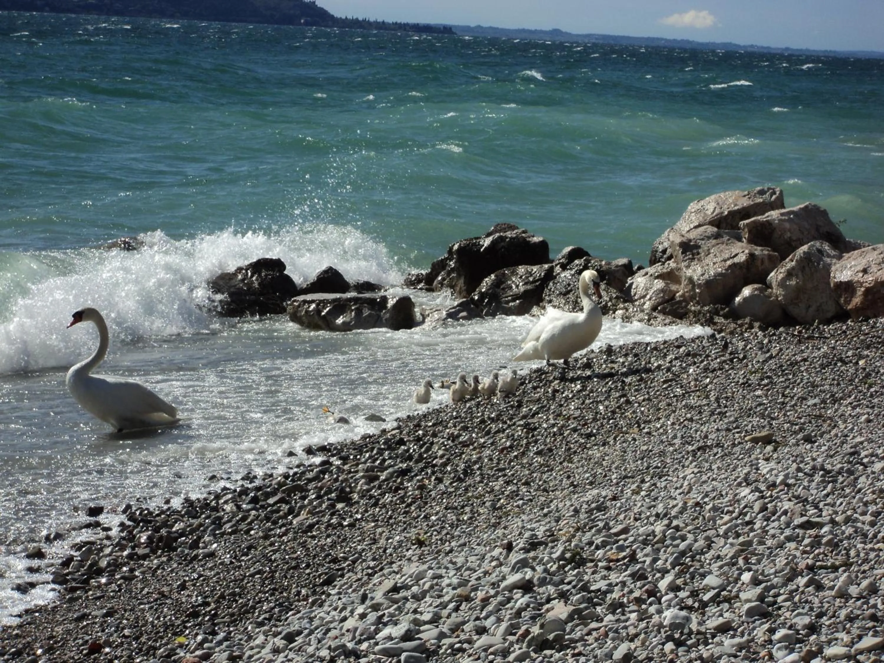 Area and facilities in Bed & Breakfast Giardini di Corte