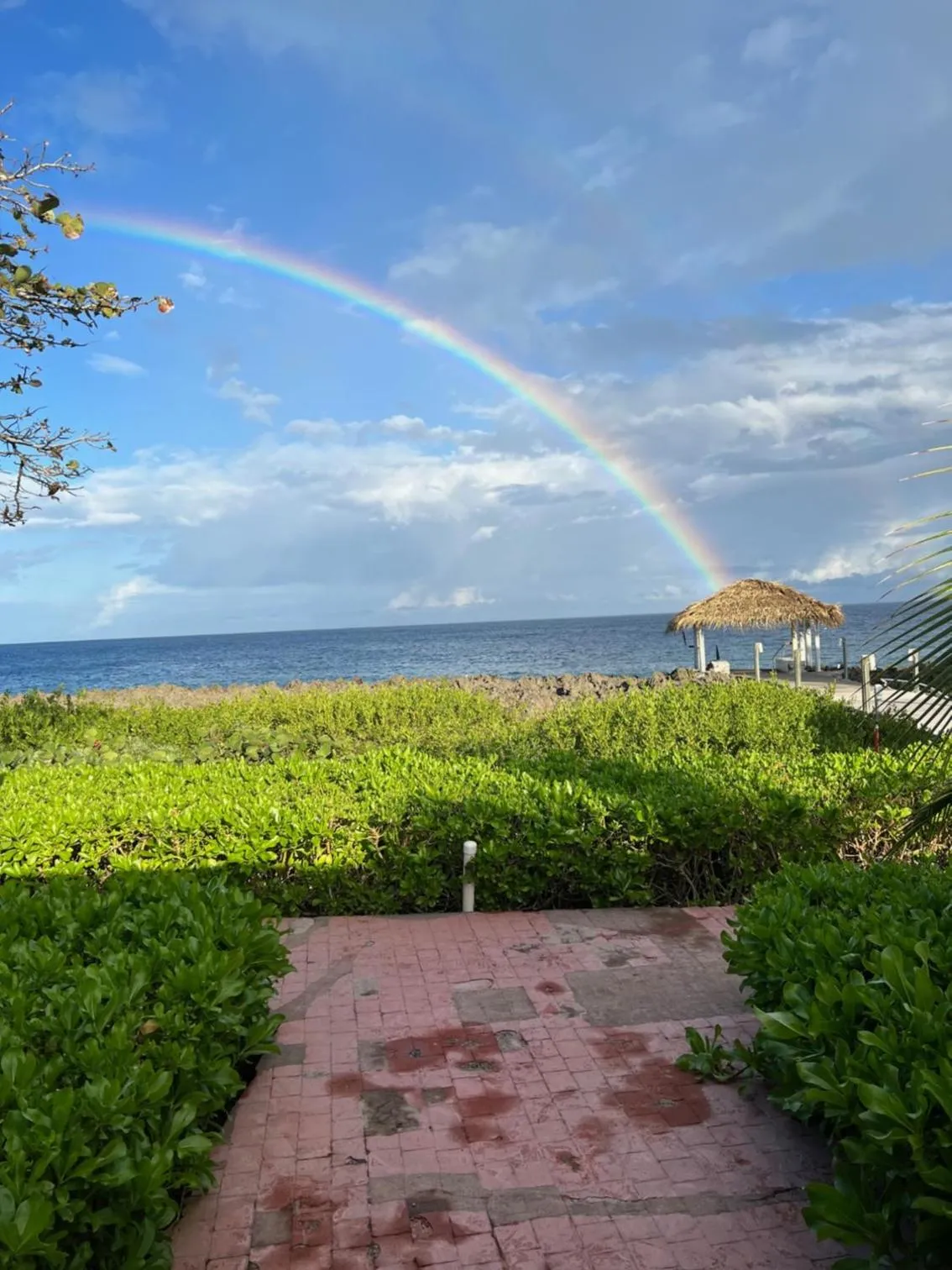 Seagrape Plantation Resort & Dive Center