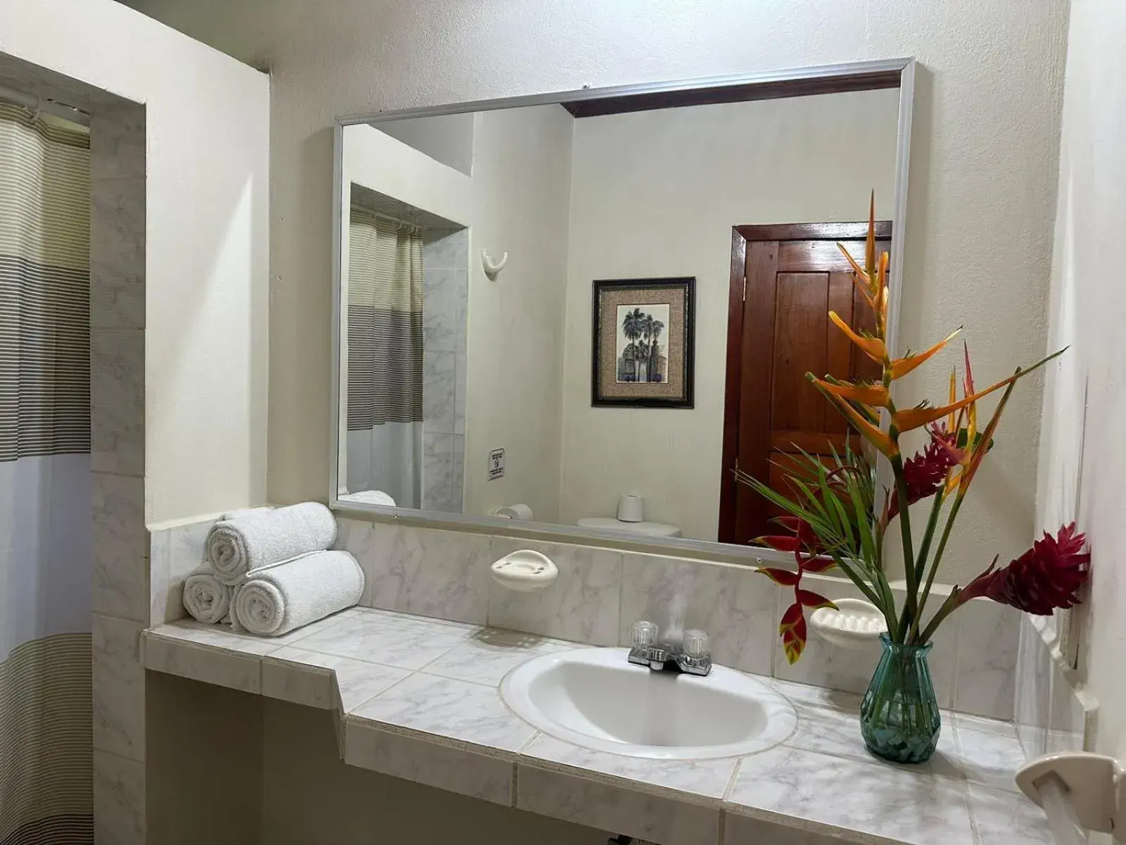 Single Room - single occupancy in Seagrape Plantation Resort & Dive Center Single Room - single occupancy in Seagrape Plantation Resort & Dive Center