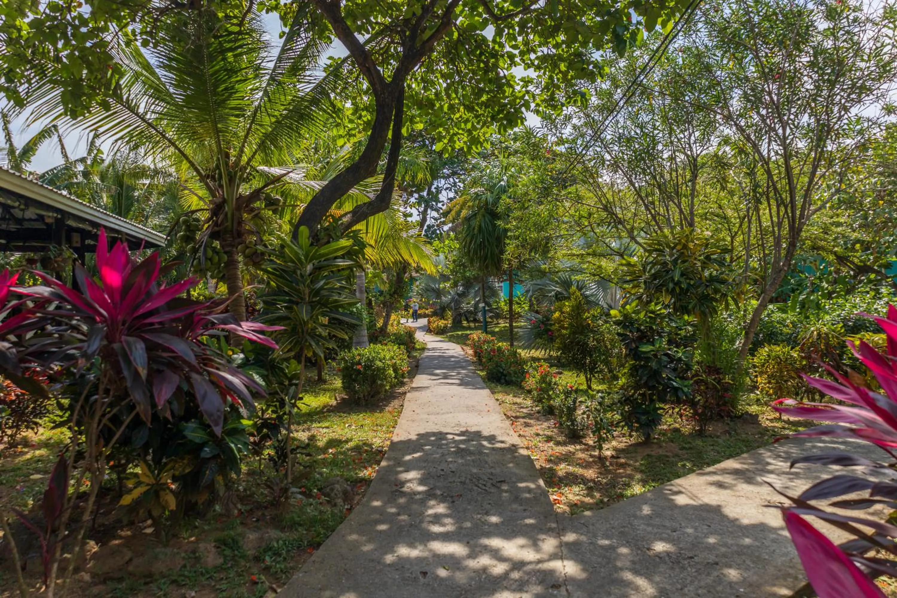 Garden in Seagrape Plantation Resort & Dive Center