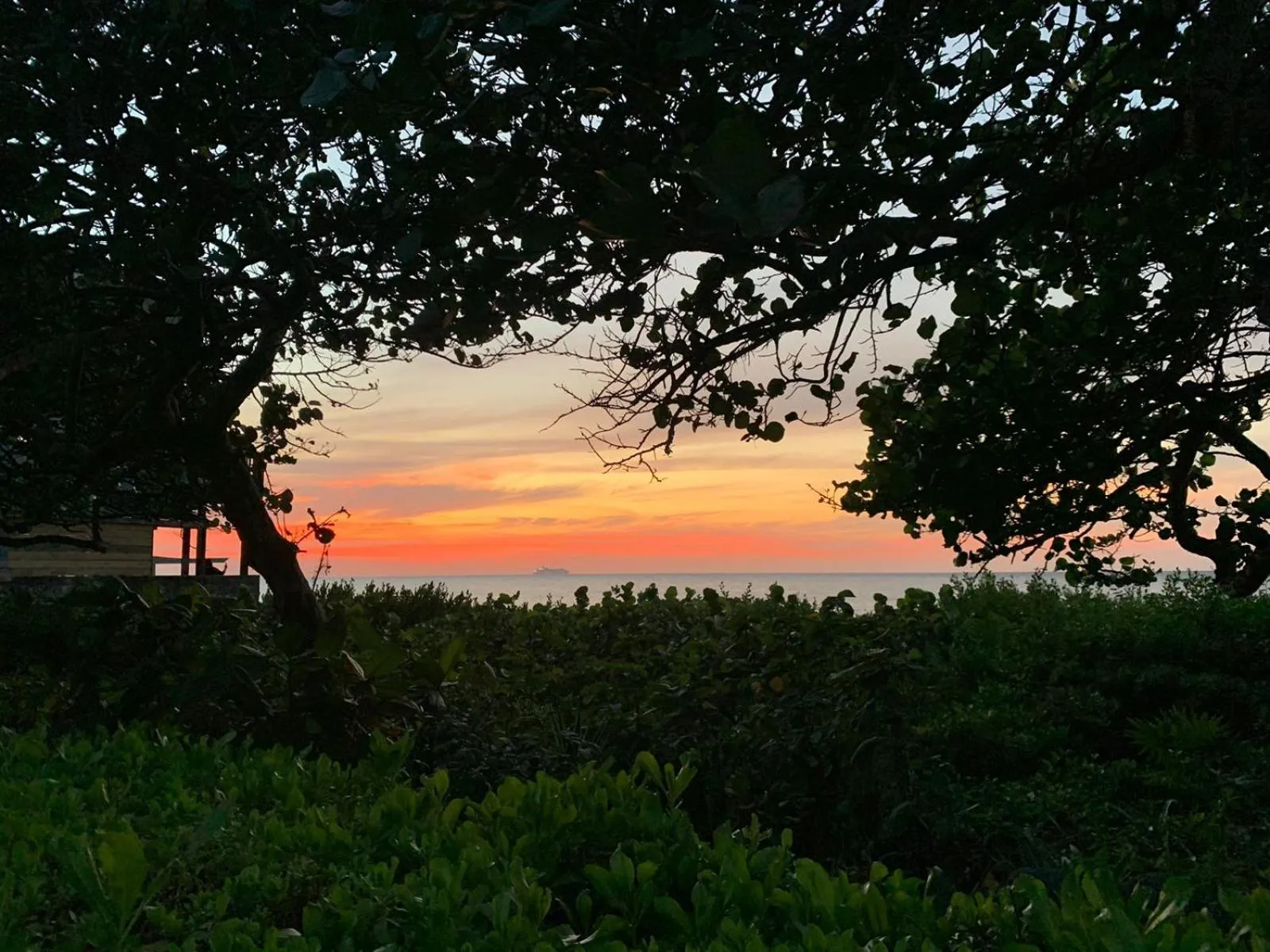 Seagrape Plantation Resort & Dive Center