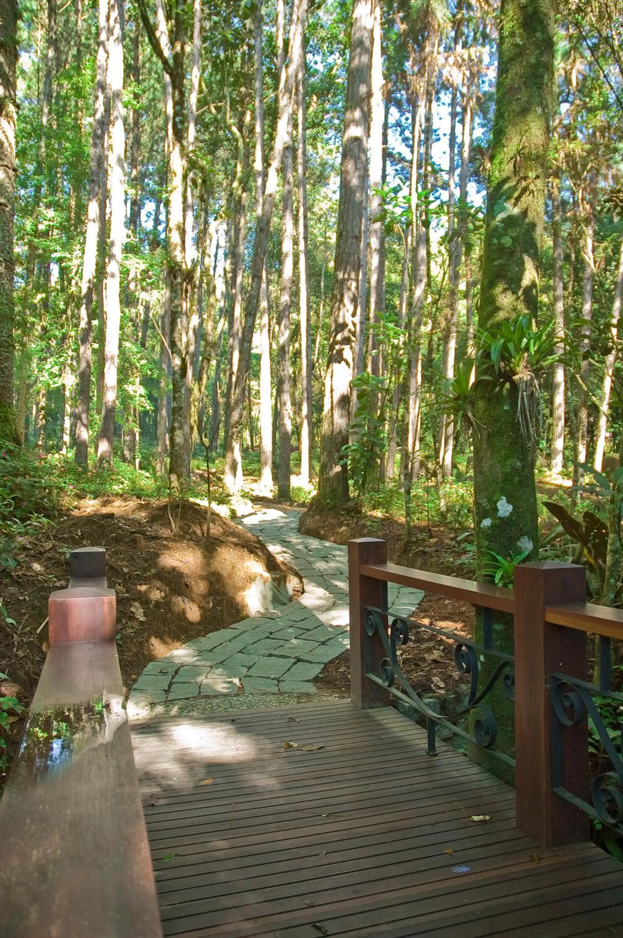 Natural landscape in Pousada Casa Bonita