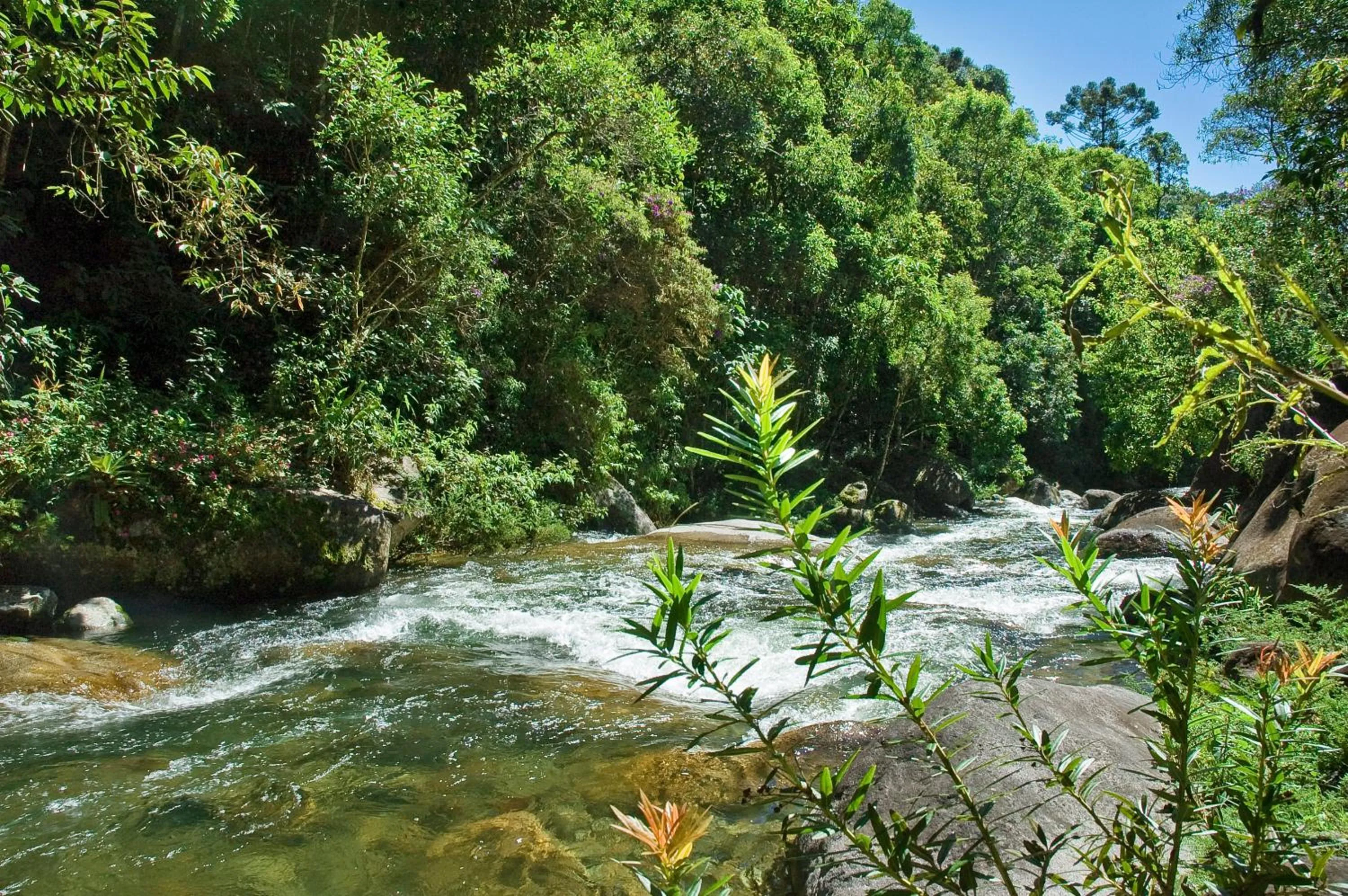 River view in Pousada Casa Bonita