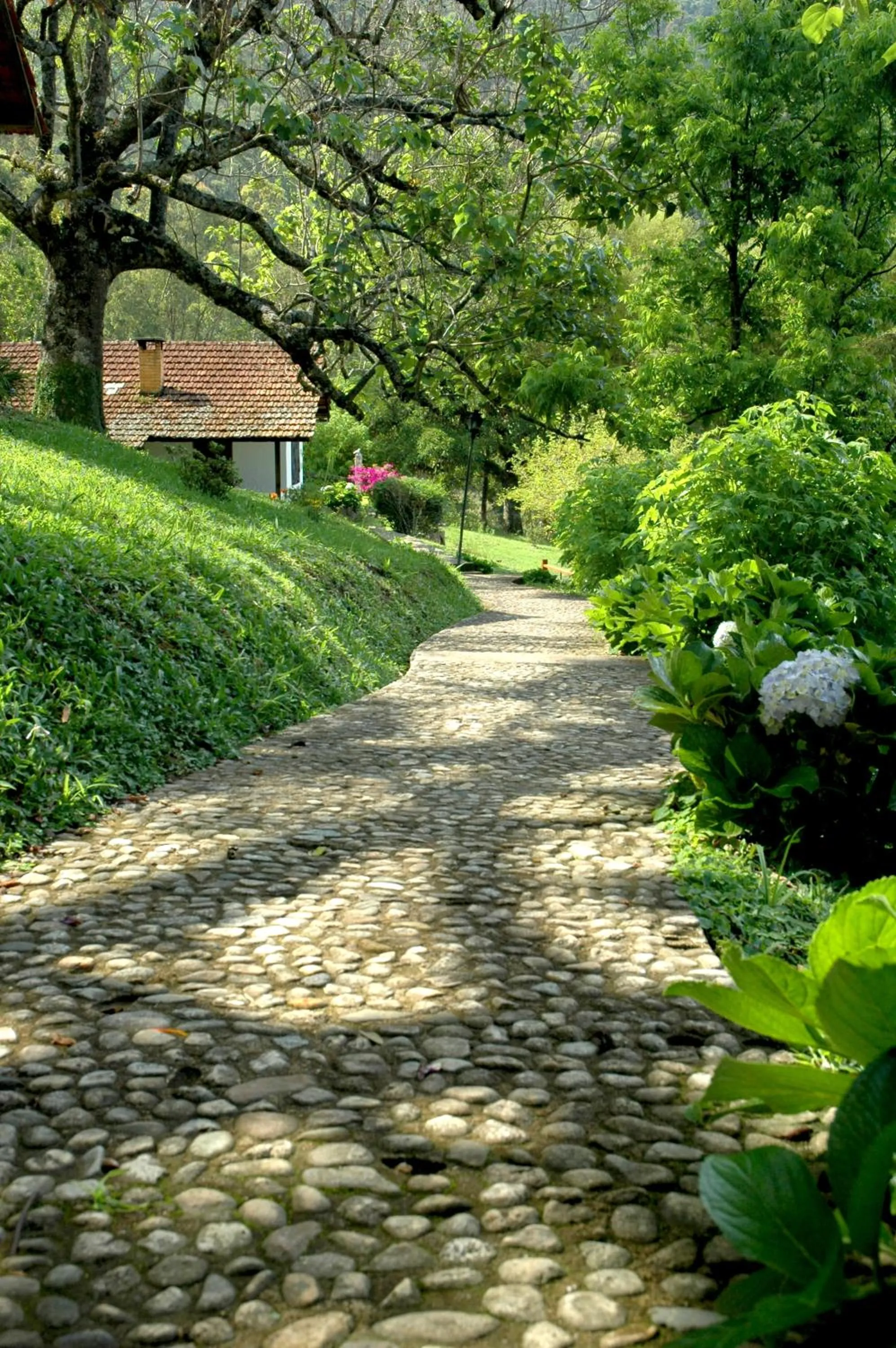 Natural landscape in Pousada Casa Bonita