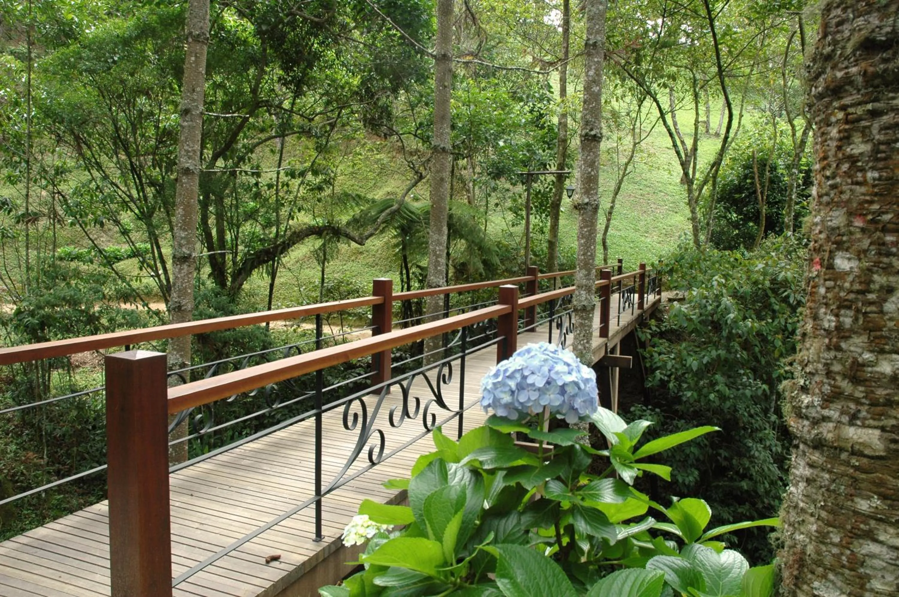 Natural landscape in Pousada Casa Bonita