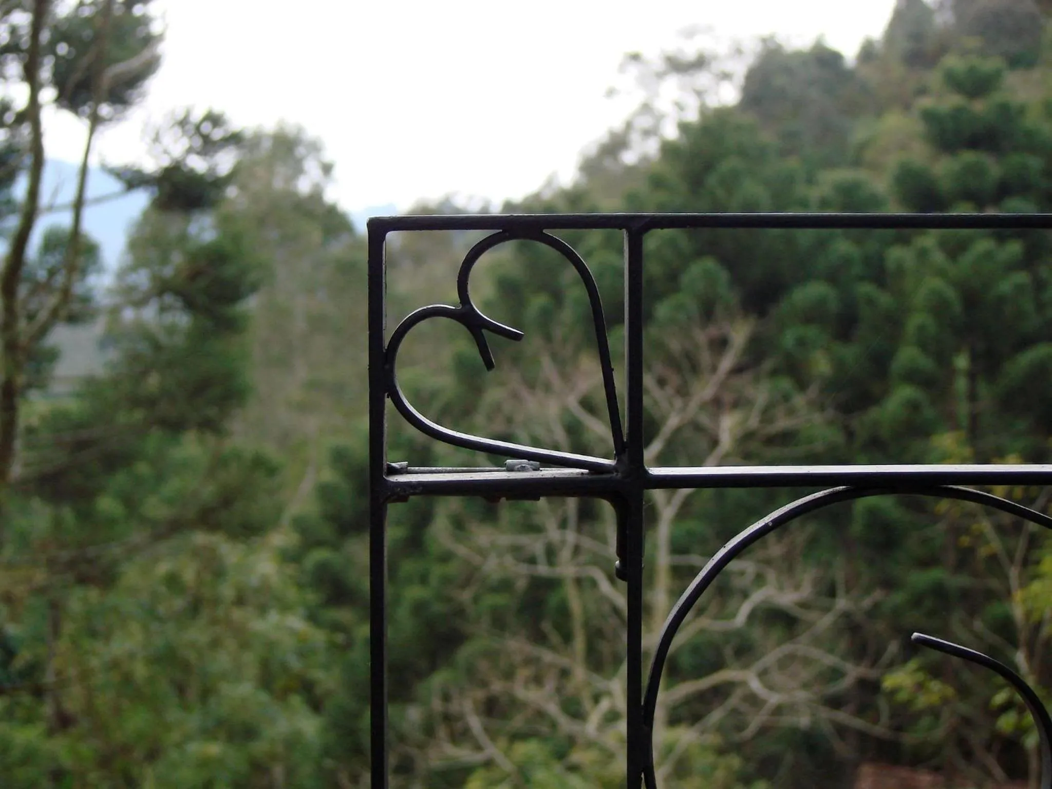 Decorative detail in Pousada Casa Bonita
