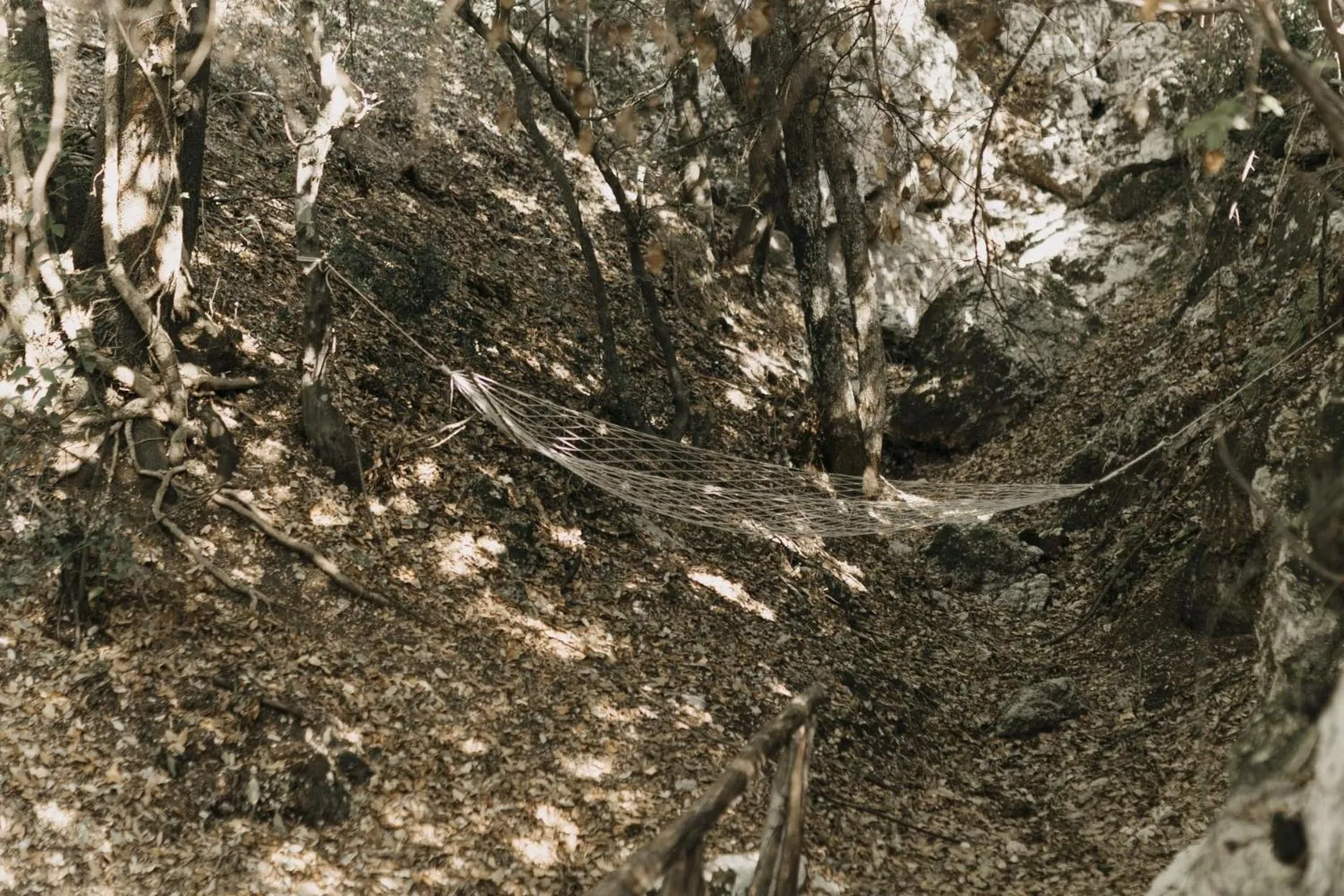 Natural landscape in b&b Tenuta San Felice