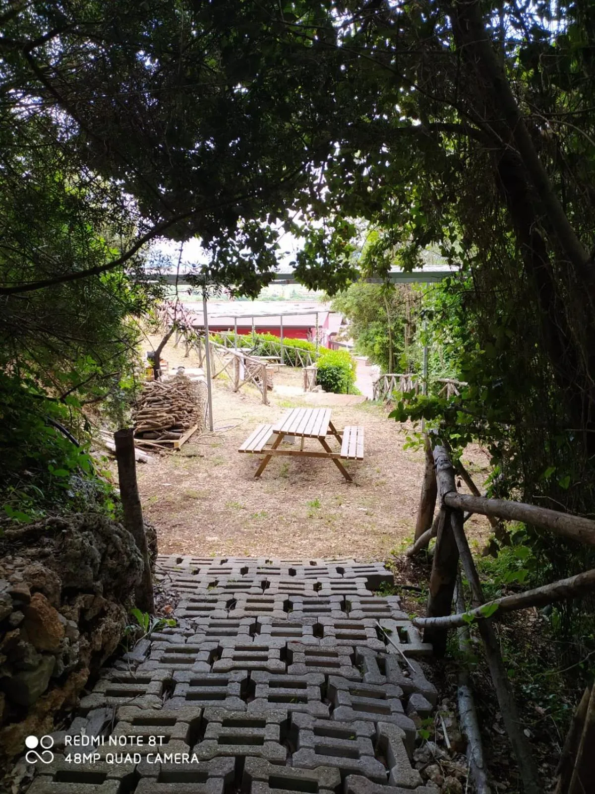 Natural landscape in b&b Tenuta San Felice