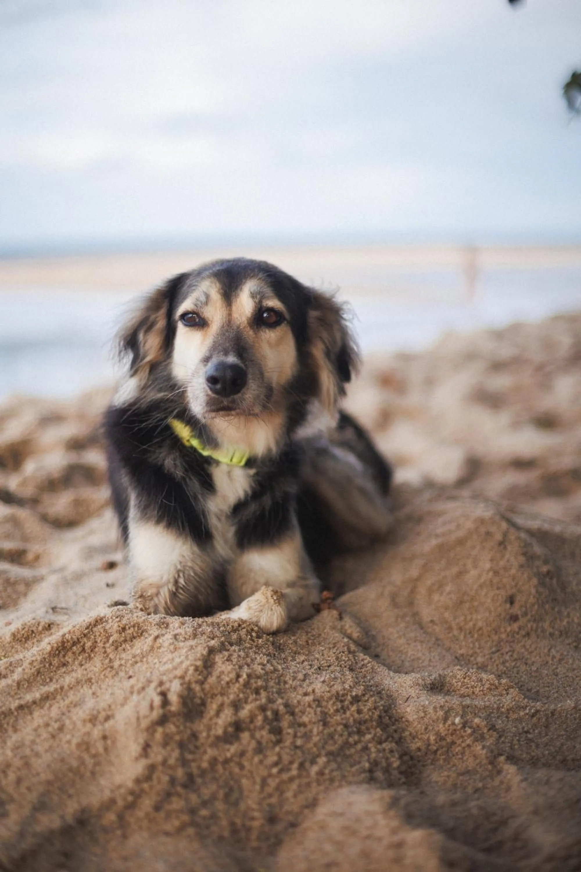 Beach in Pousada Pouso da Maré