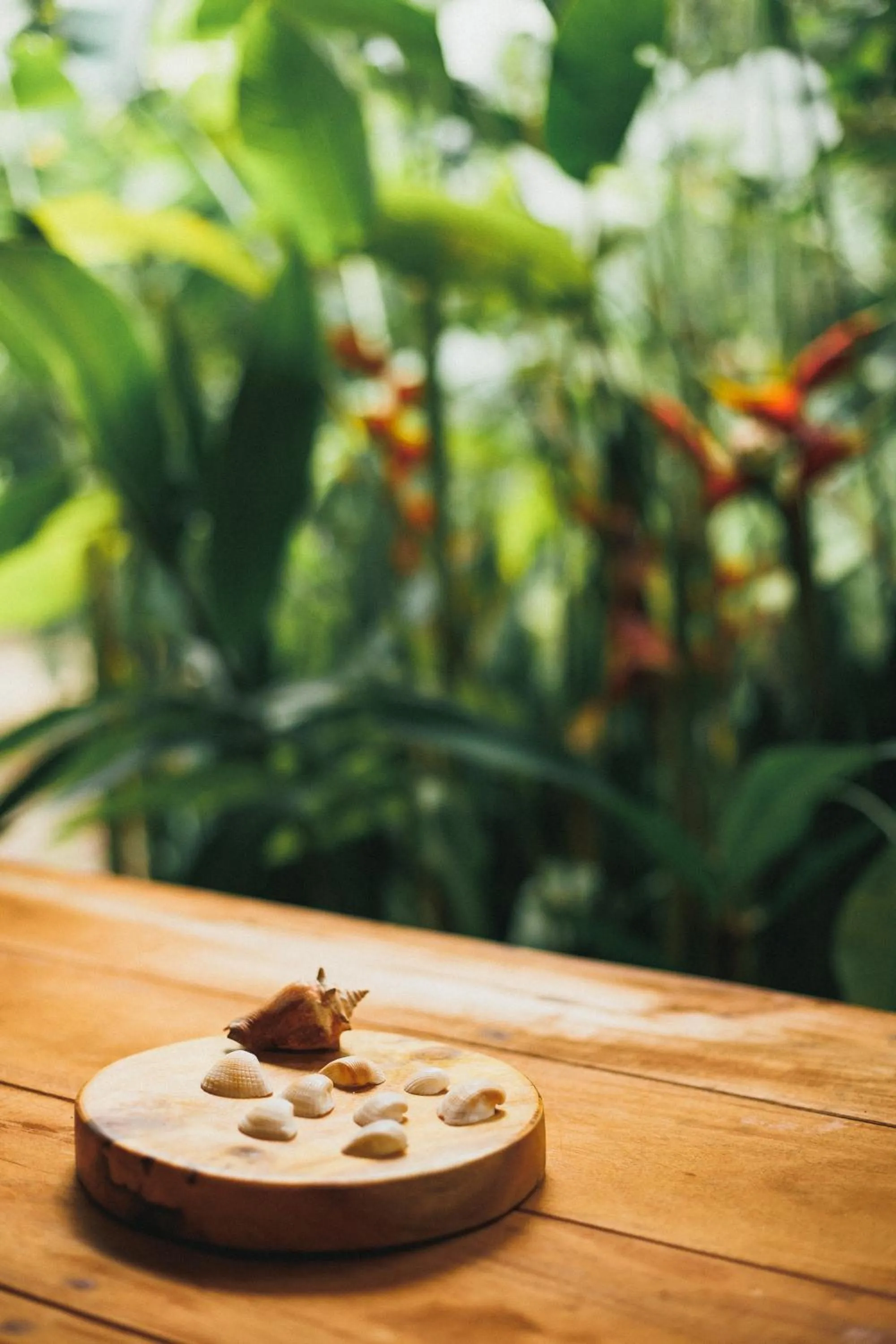 Day in Pousada Pouso da Maré