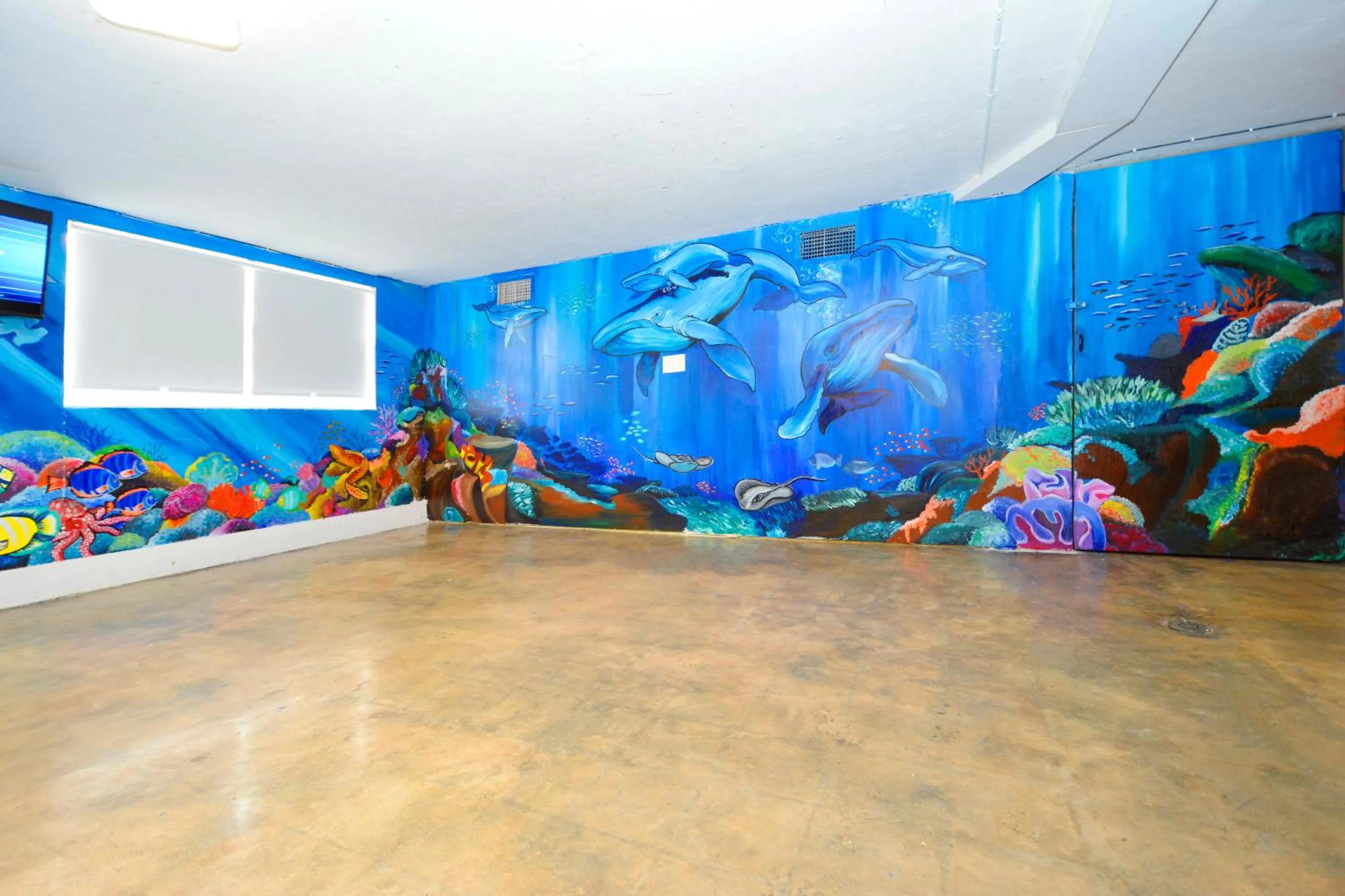 TV and multimedia in South Beach Rooms and Hostel