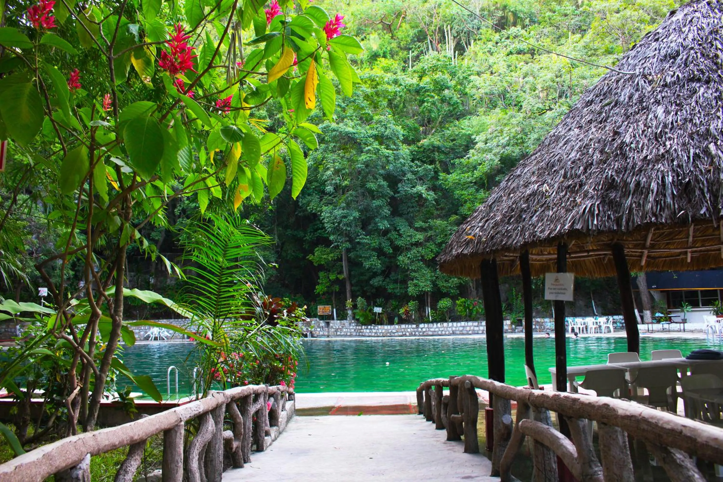 Other, Swimming Pool in Hotel SPA Taninul