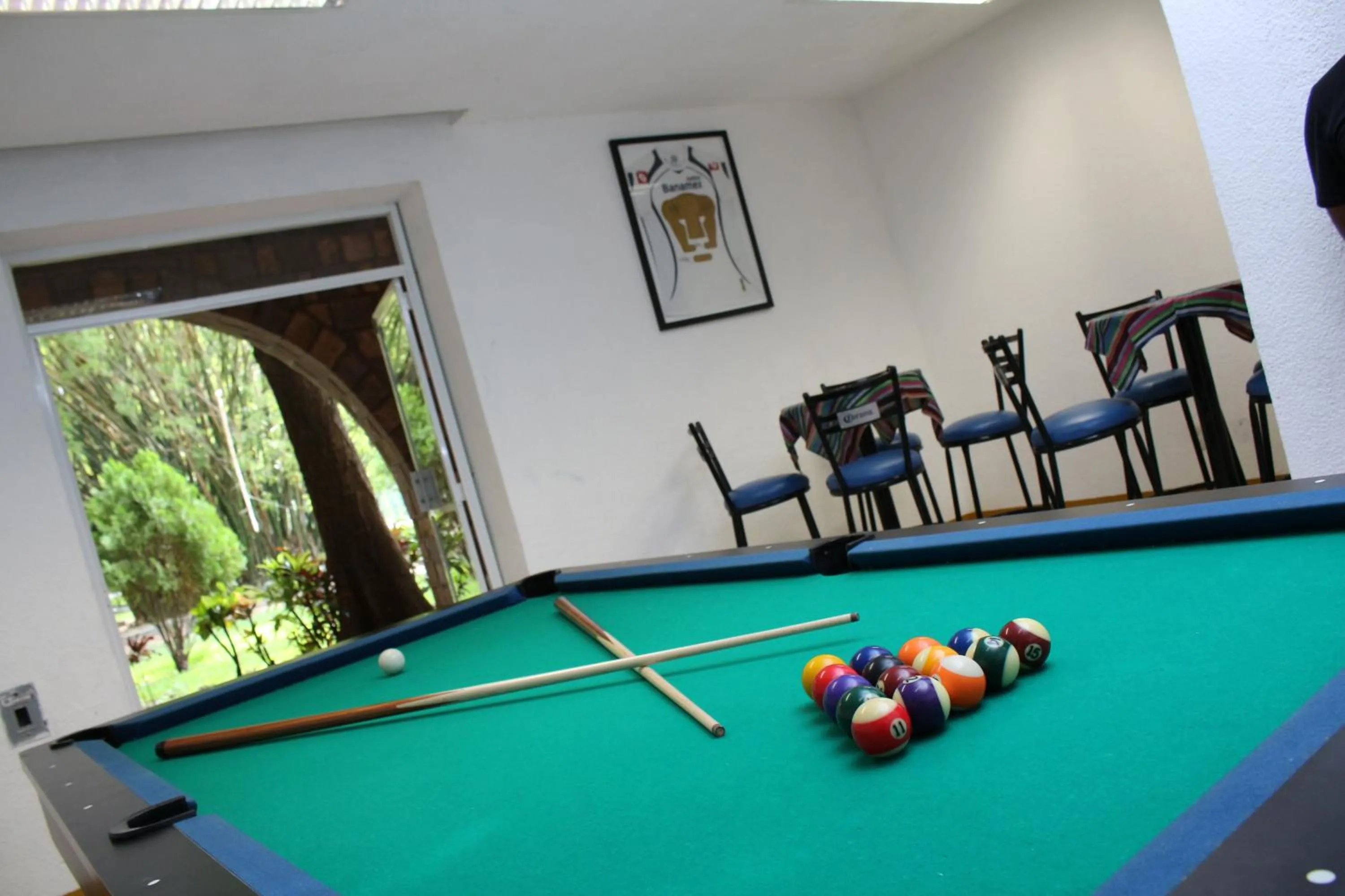 Billiard, Billiards in Hotel SPA Taninul