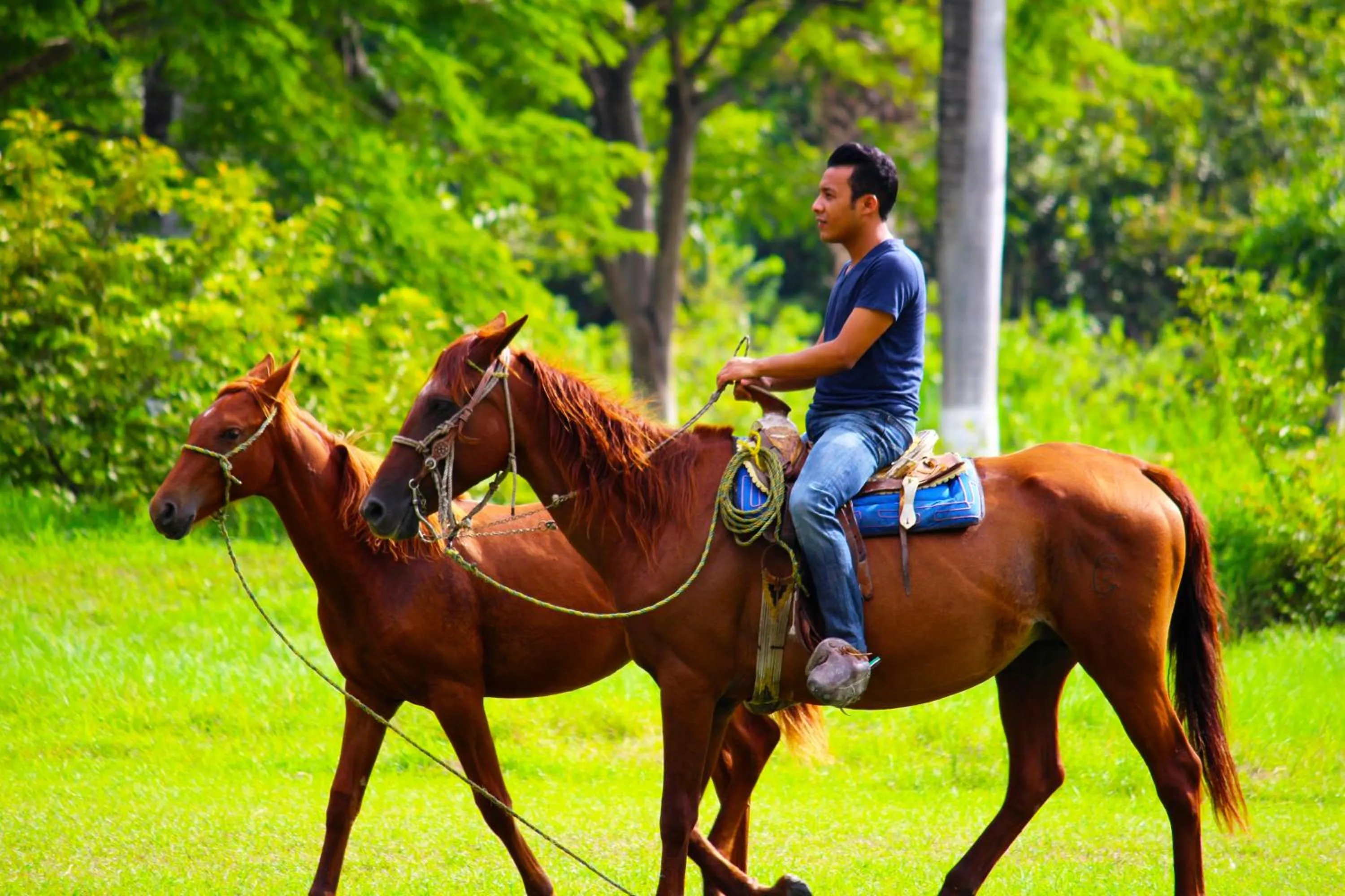 Horse-riding, Horseback Riding in Hotel SPA Taninul