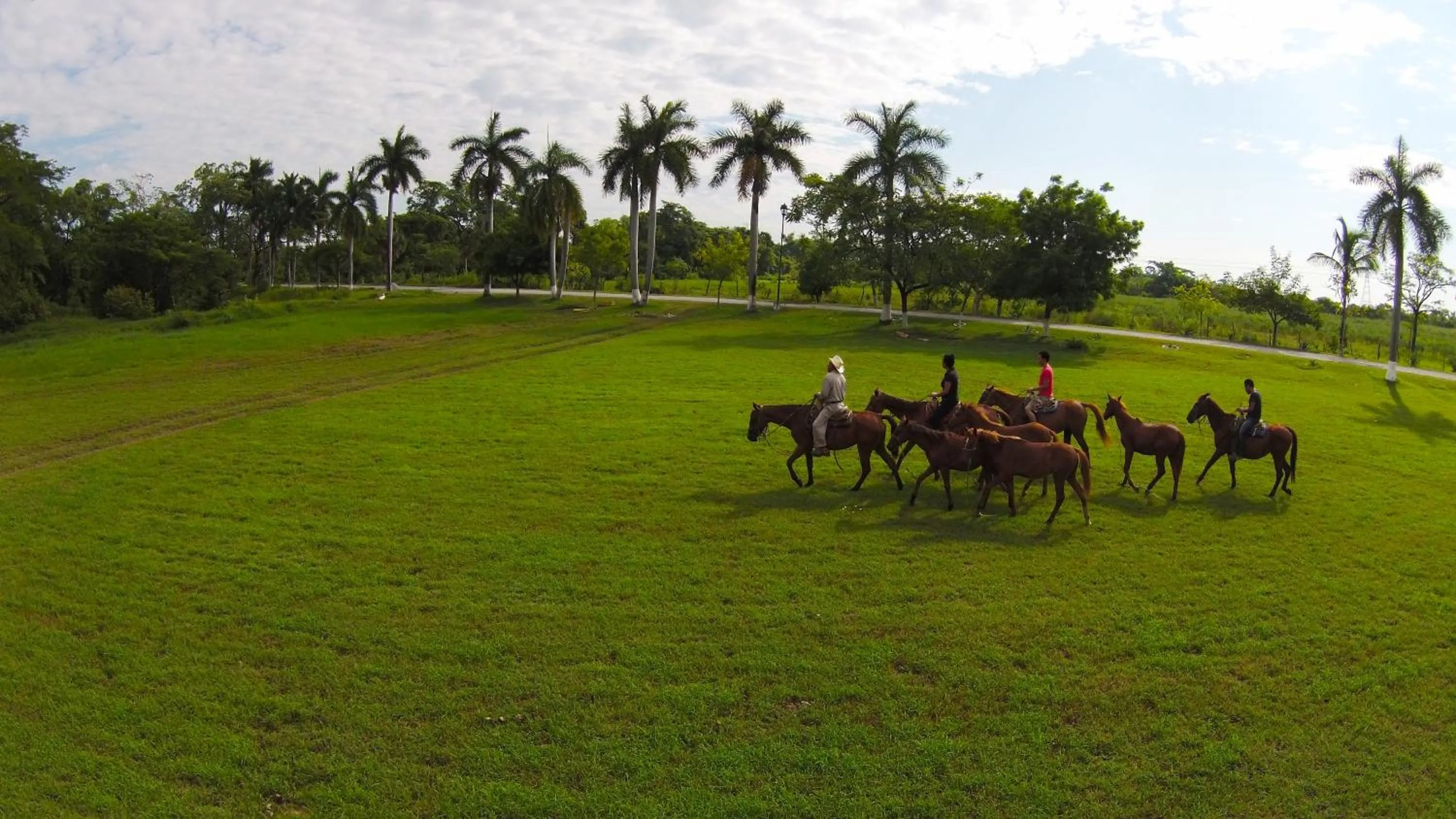 Horse-riding in Hotel SPA Taninul