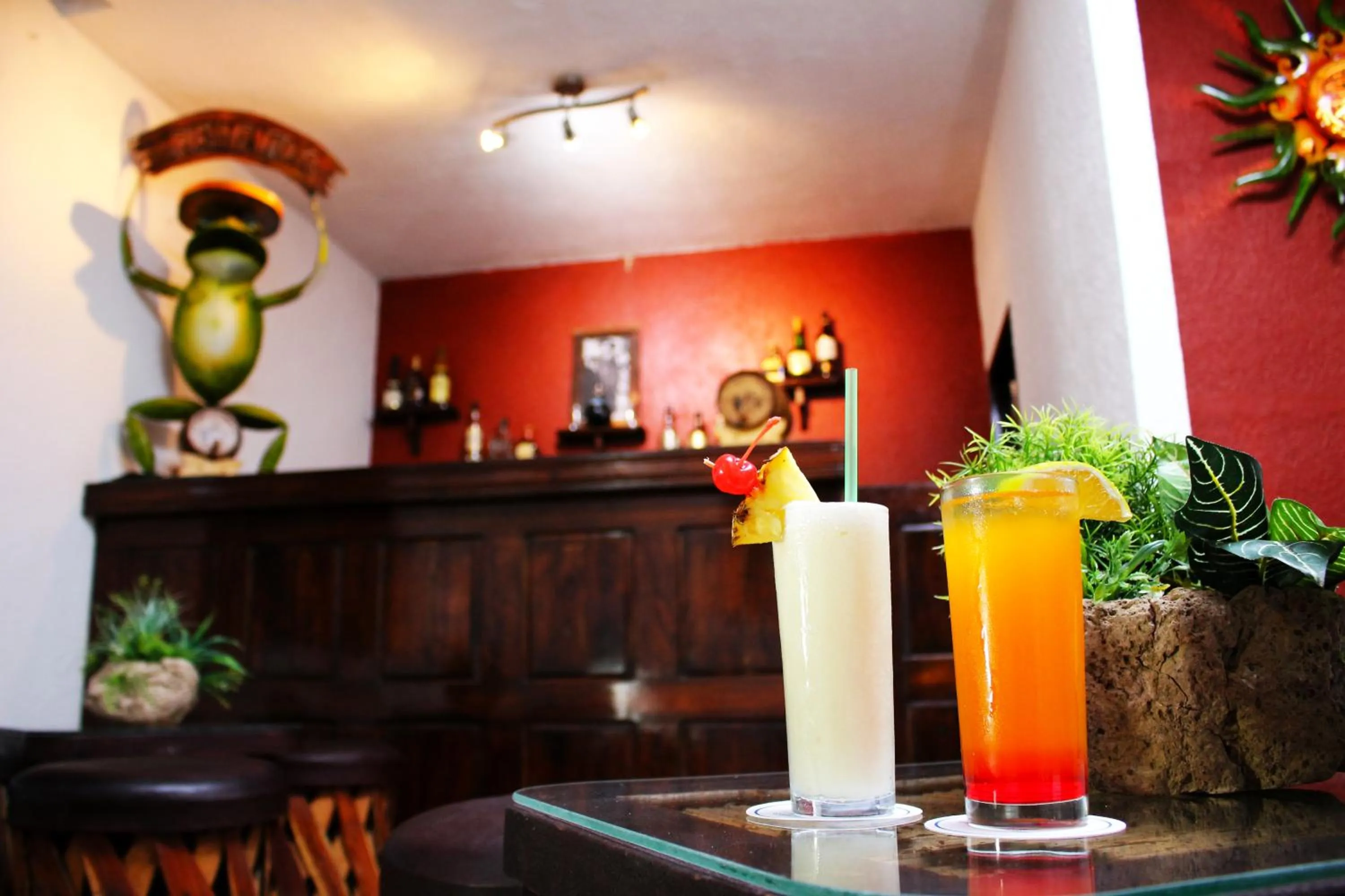 Non alcoholic drinks in Hotel SPA Taninul