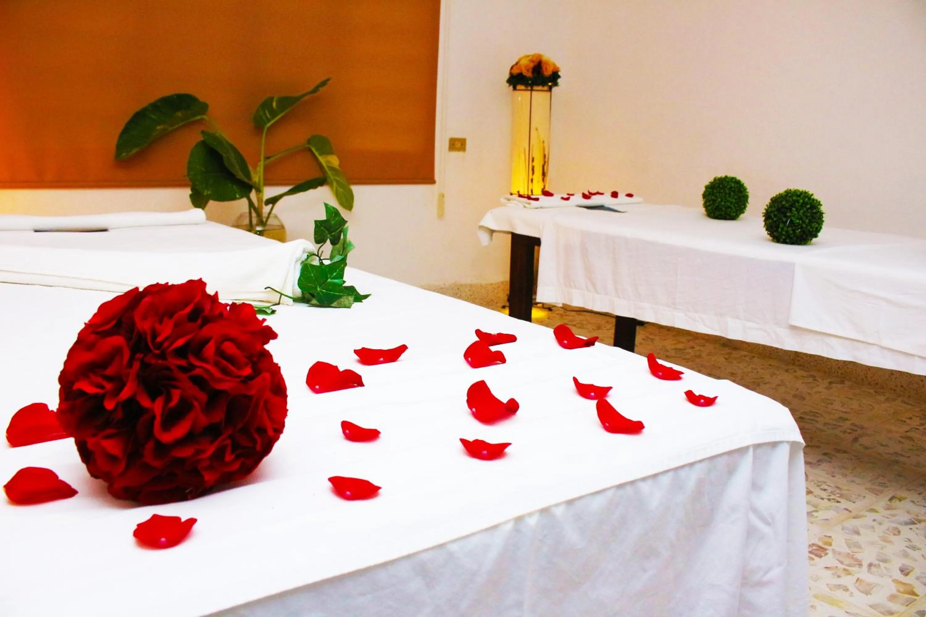 Other in Hotel SPA Taninul