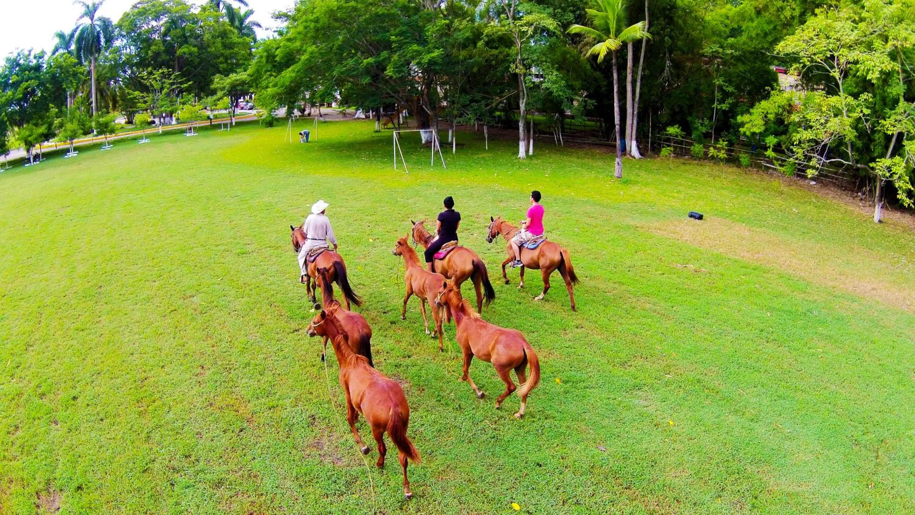 Horse-riding in Hotel SPA Taninul