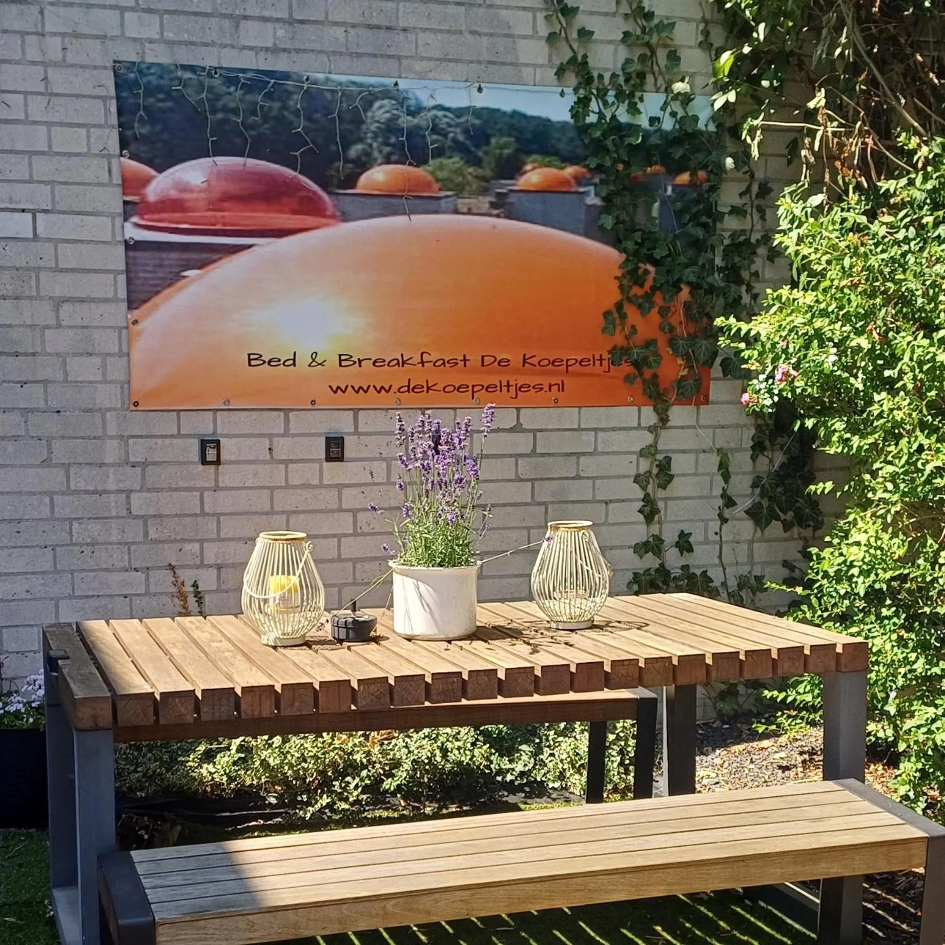 Day in Bed & Breakfast de Koepeltjes