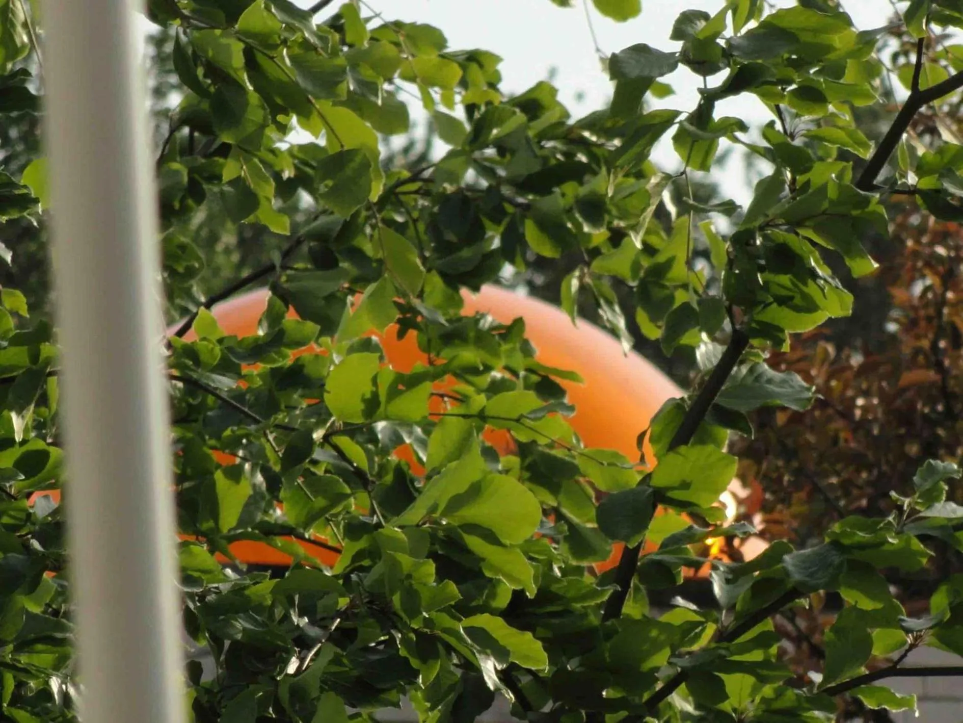 Nearby landmark in Bed & Breakfast de Koepeltjes