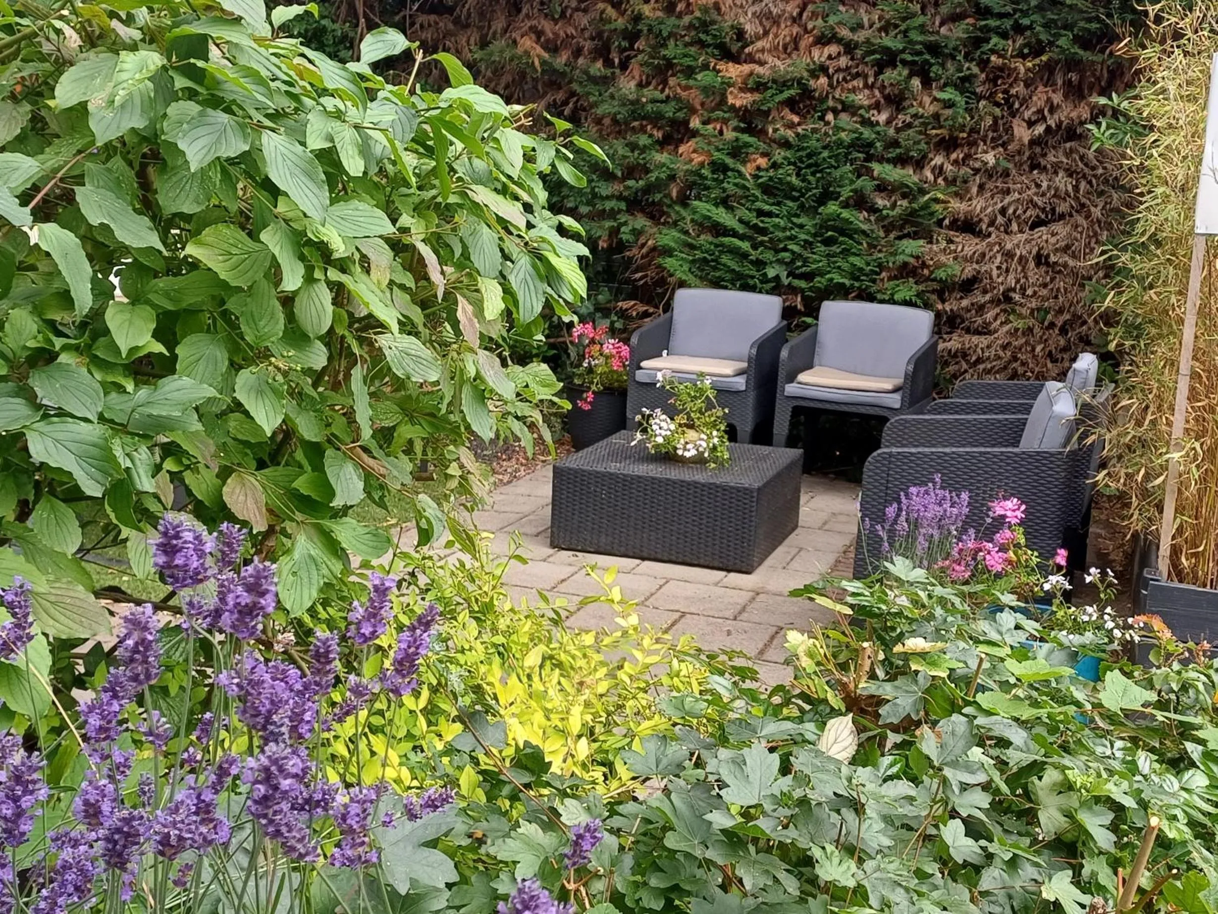 Spring in Bed & Breakfast de Koepeltjes