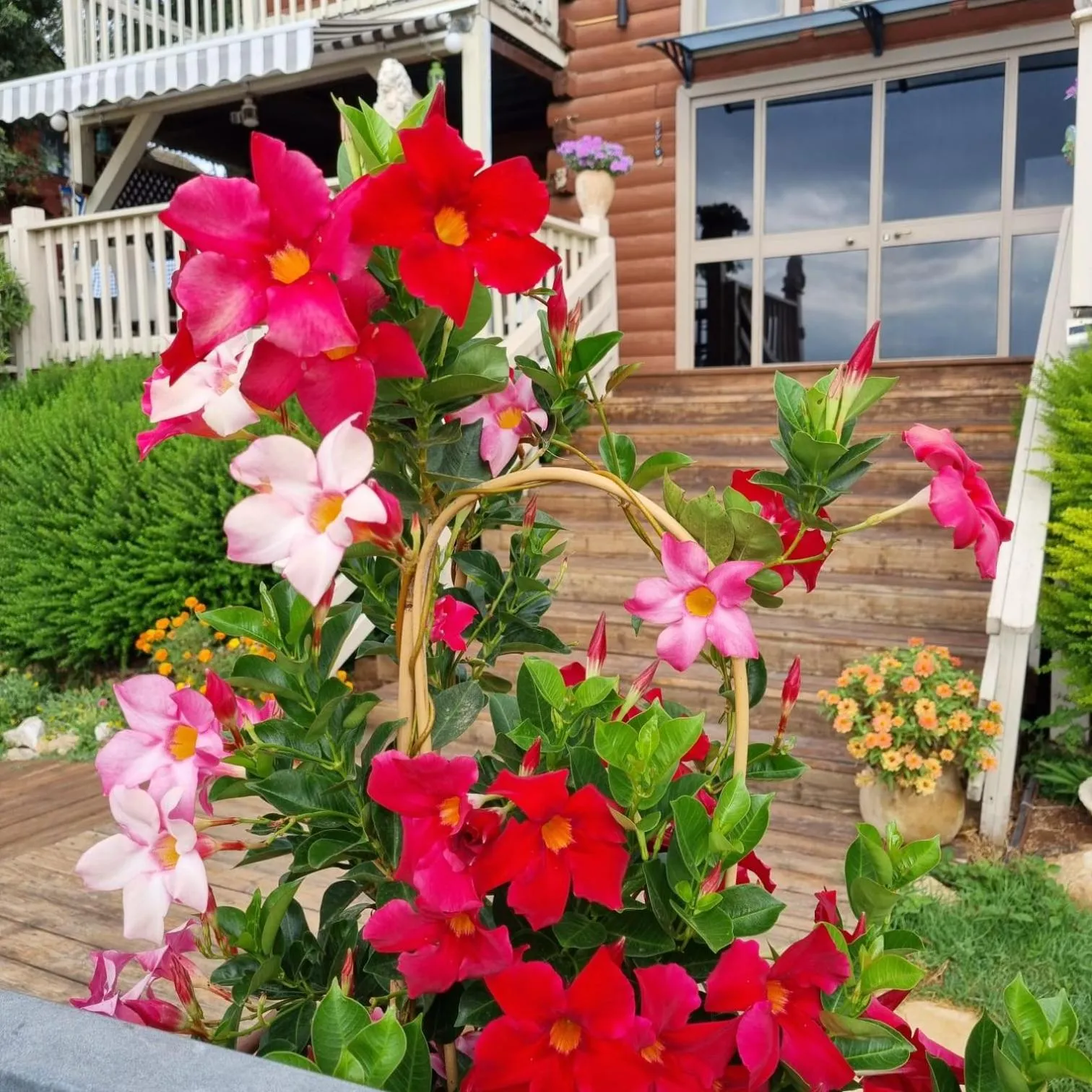 Garden view in Vibe Naftali Estate