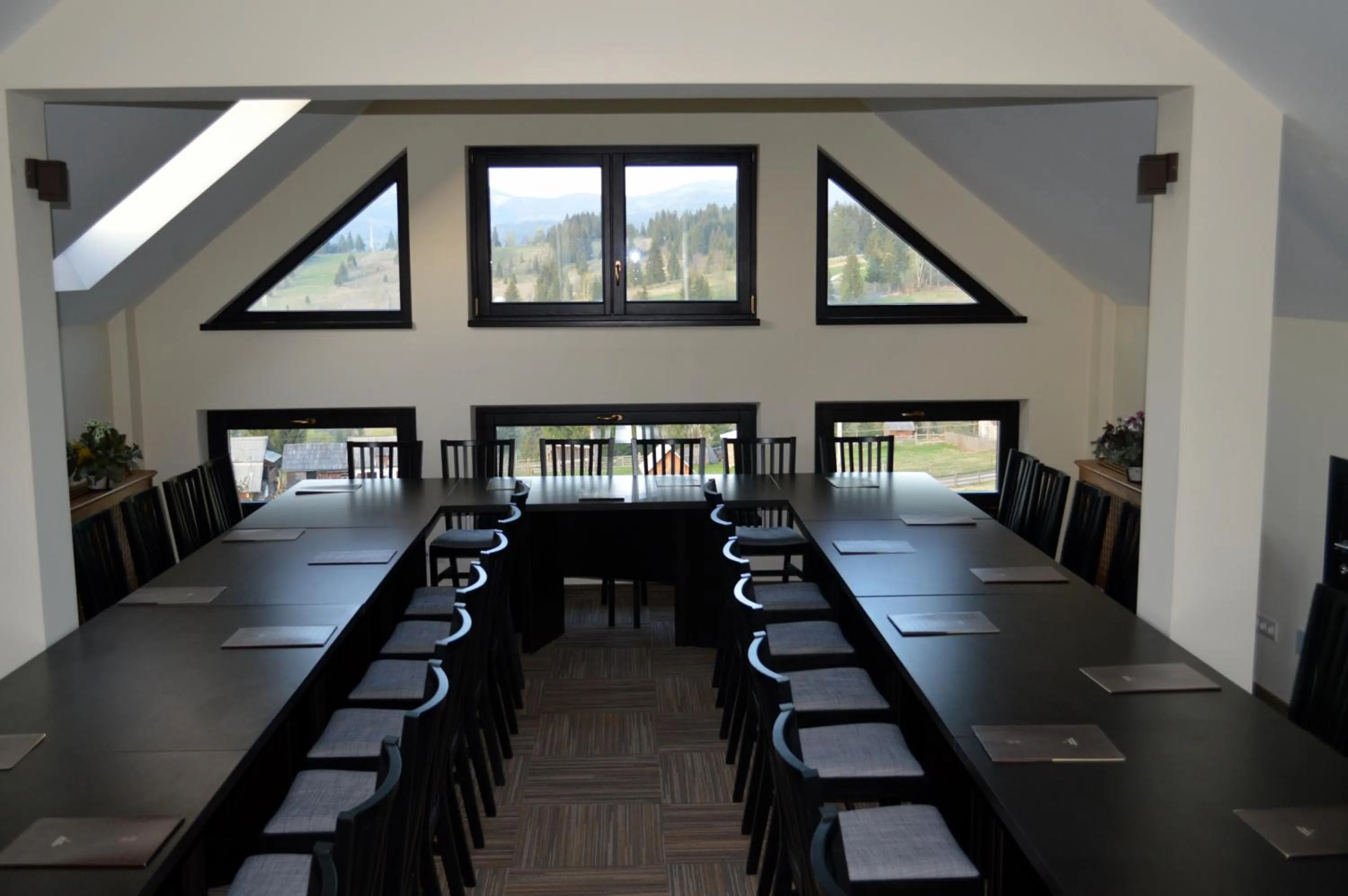 Meeting/conference room in Domeniul Dornei