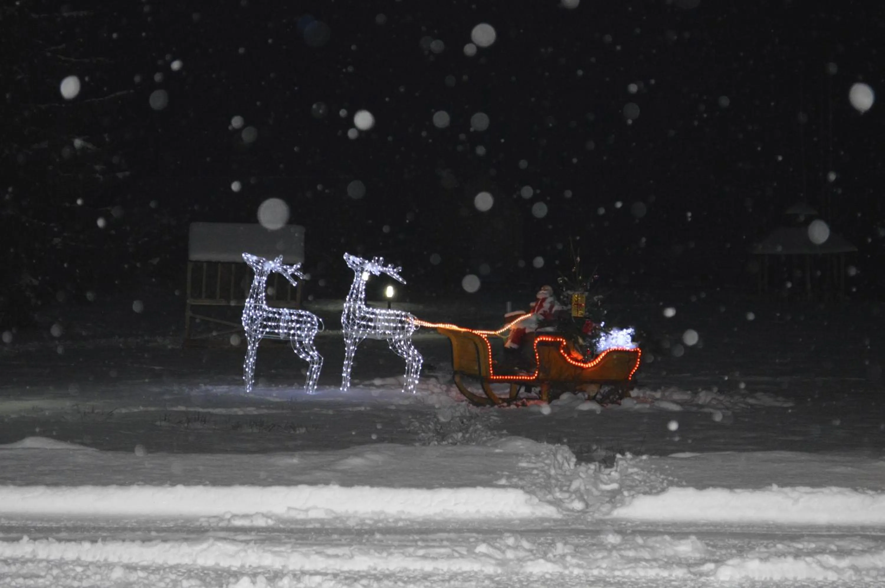 Facade/entrance in Domeniul Dornei