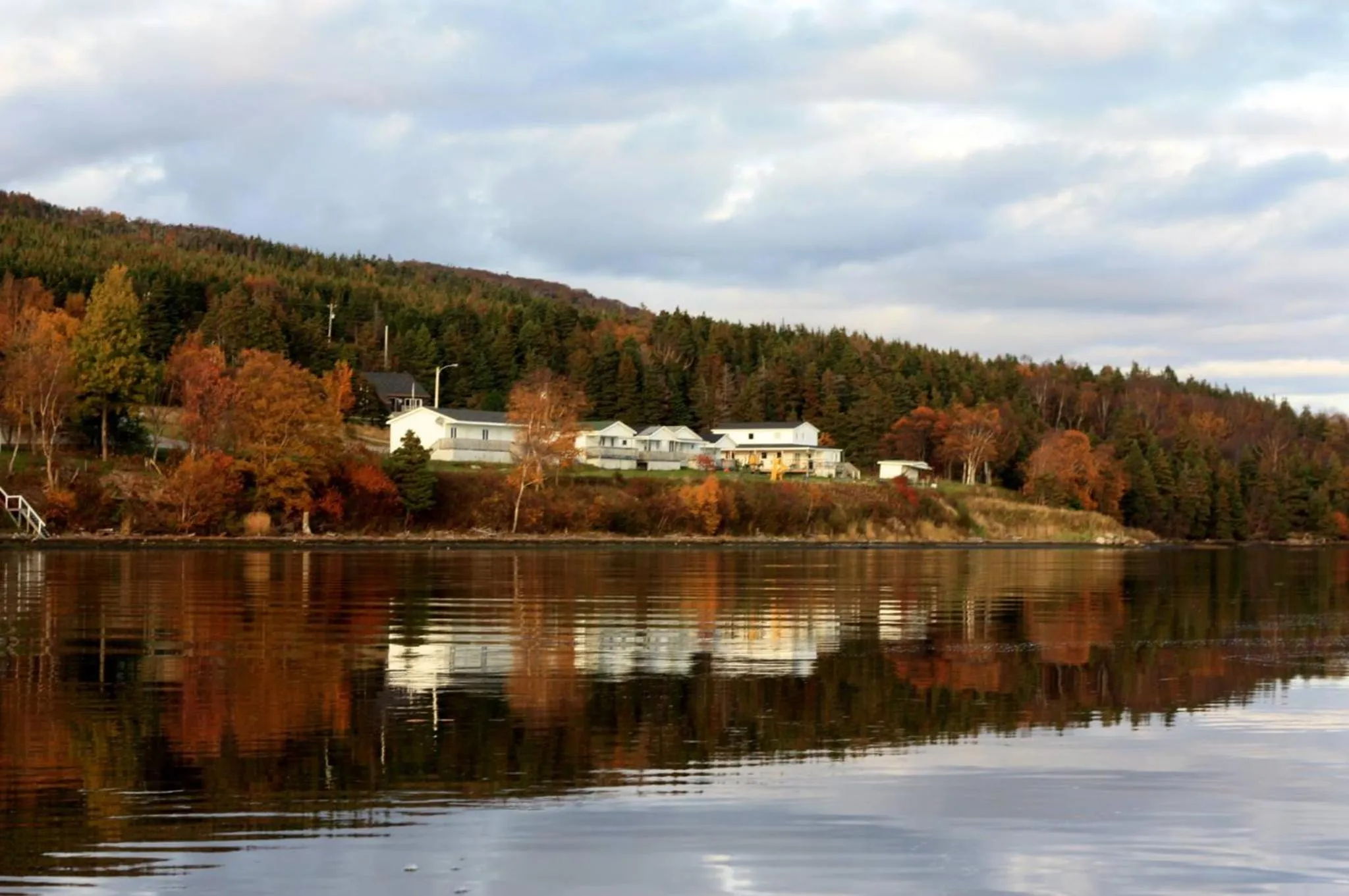 Natural landscape in Codroy Valley Cottage Country