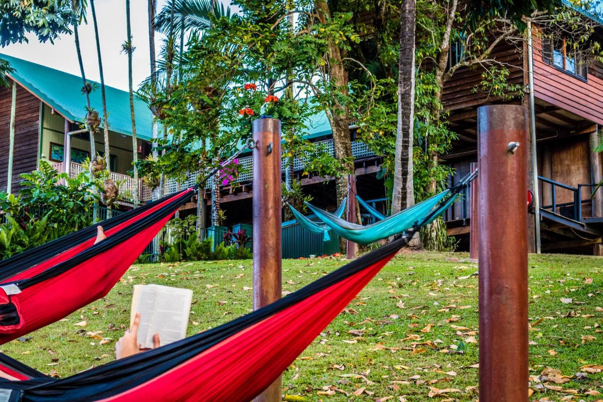 Property building in Jackaroo Treehouse Rainforest Retreat