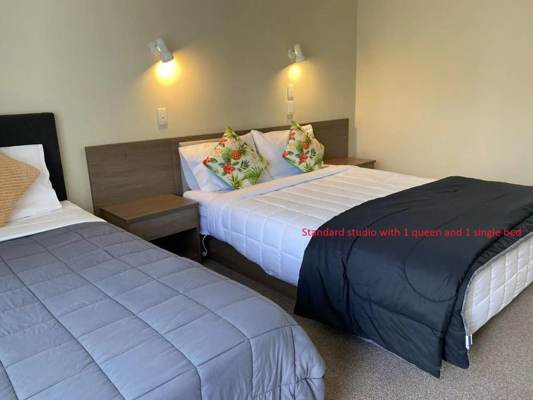 Standard Studio with Hot Tub in Malones Spa Motel