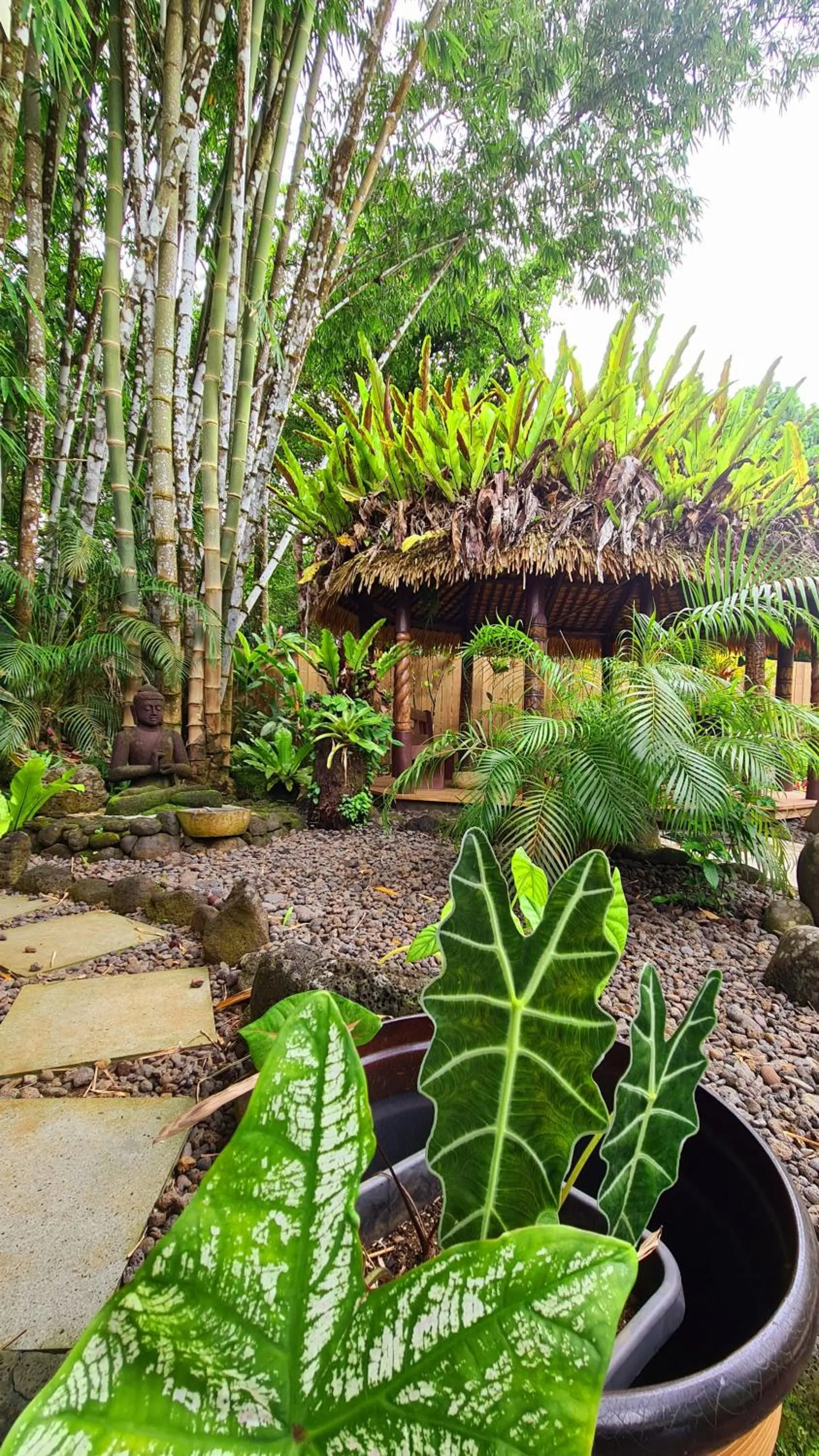 Garden in Saletoga Sands Resort & Spa