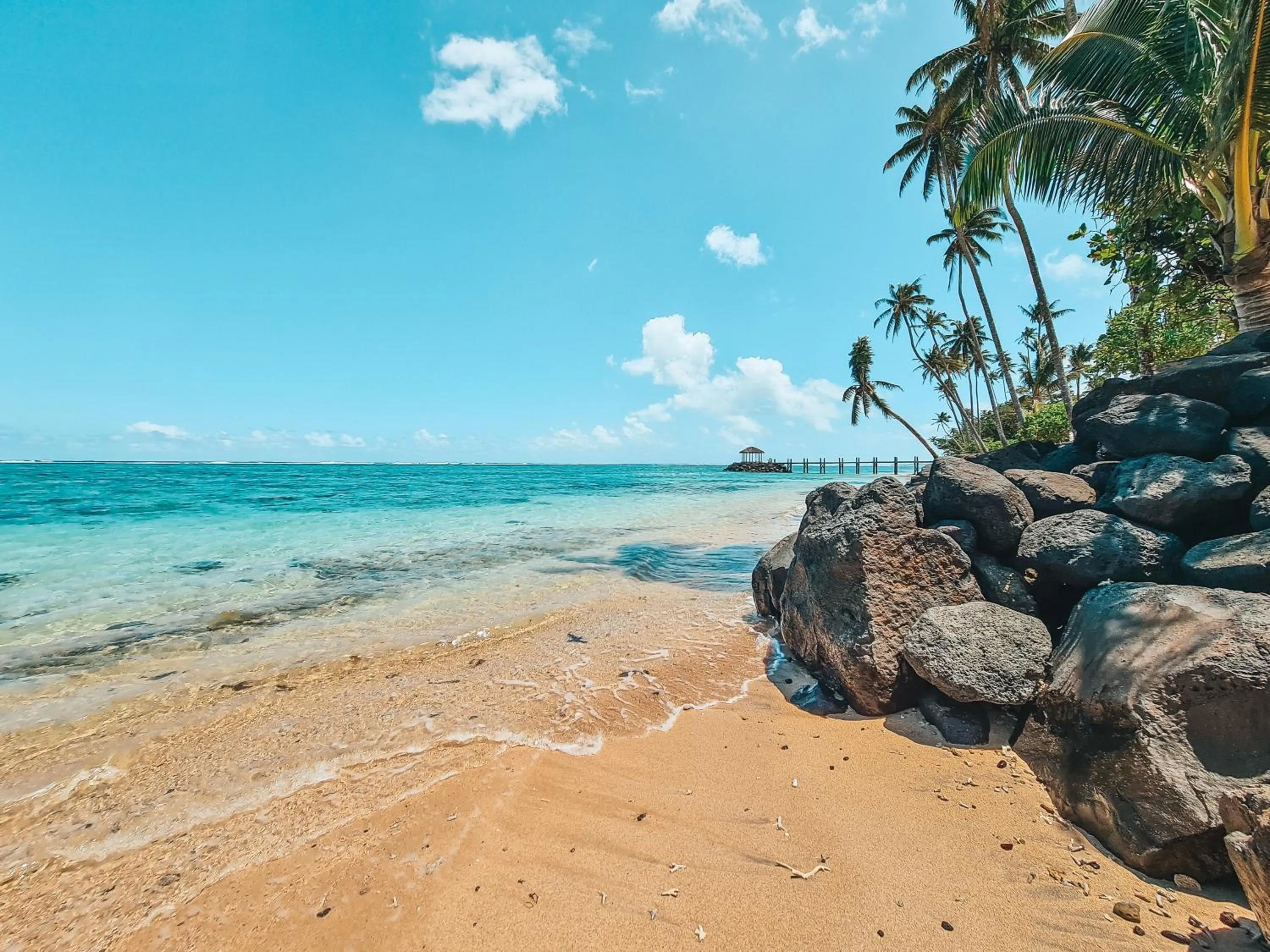 Natural landscape in Saletoga Sands Resort & Spa