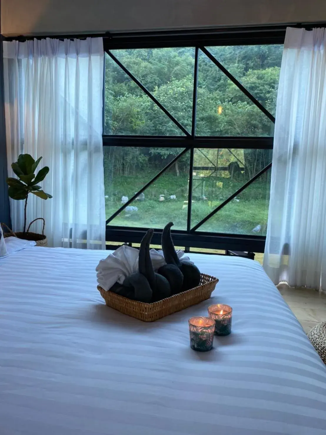 Garden view, Bed in Adoor hotel Khao Yai Garden view, Bed in Adoor hotel Khao Yai