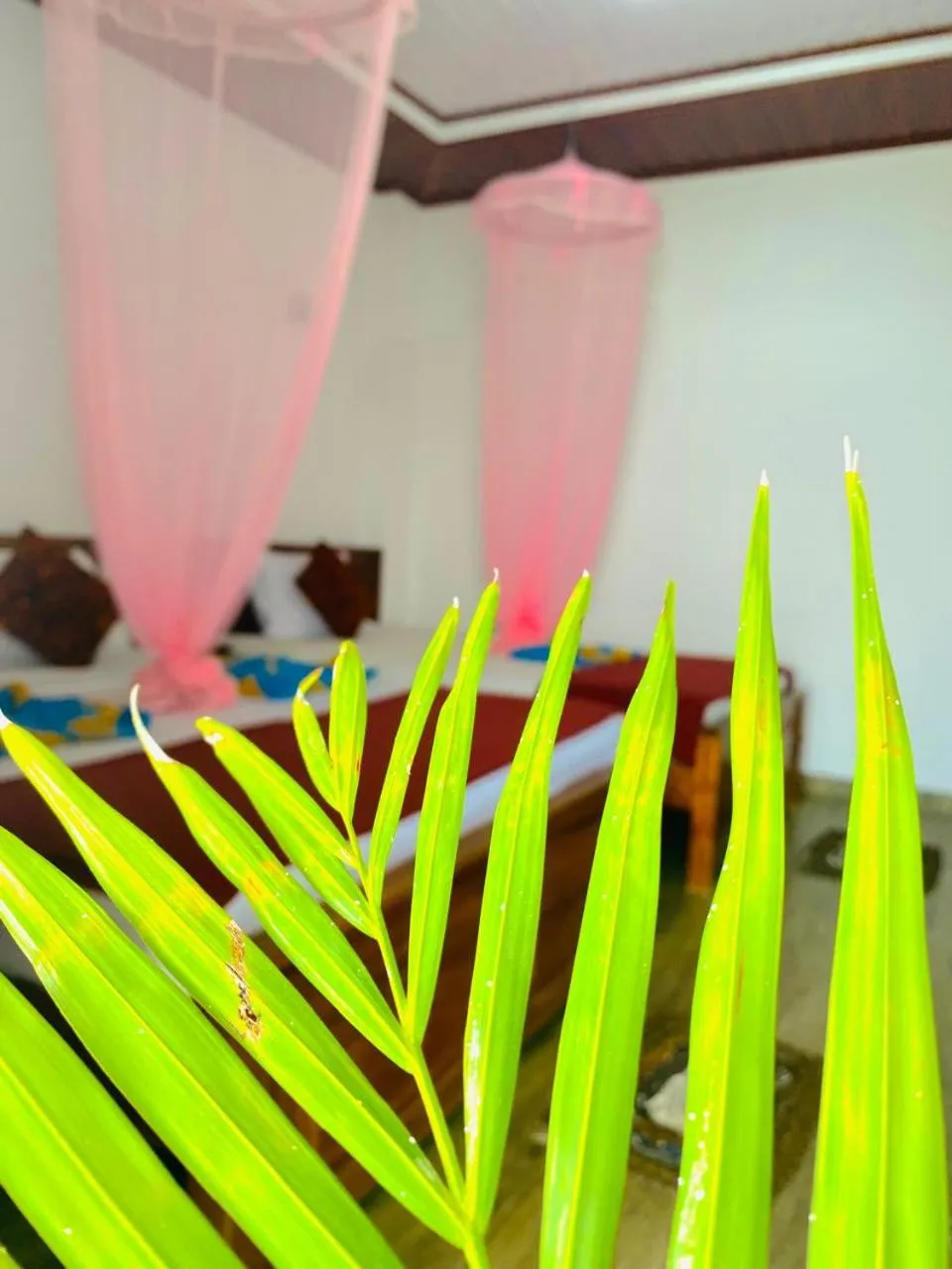 Bedroom in Pleasant Peak