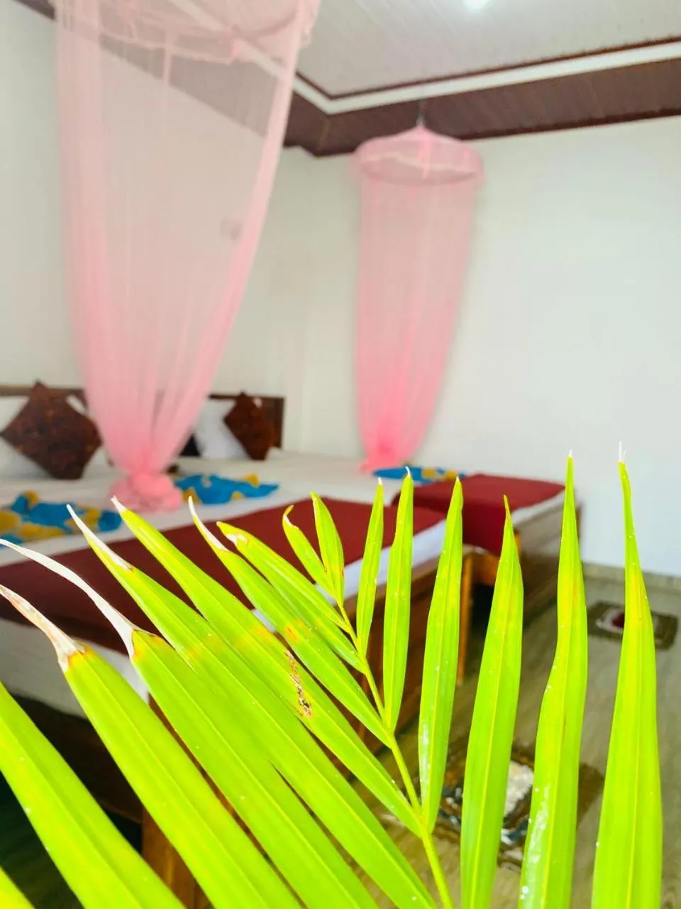 Bed in Pleasant Peak