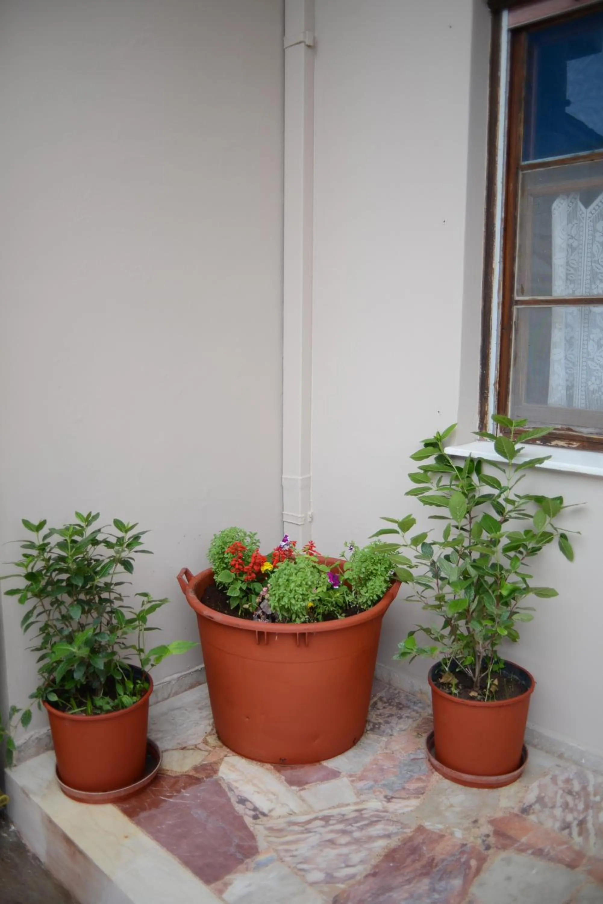 Decorative detail in Sappho Hotel