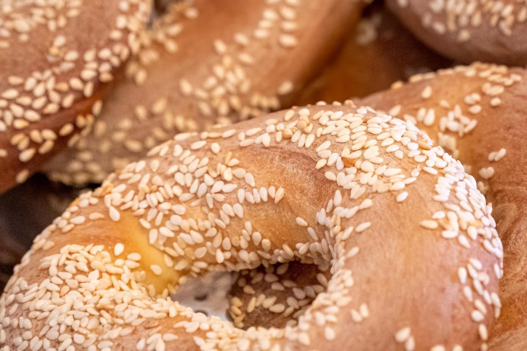 Restaurant/places to eat in Sappho Hotel