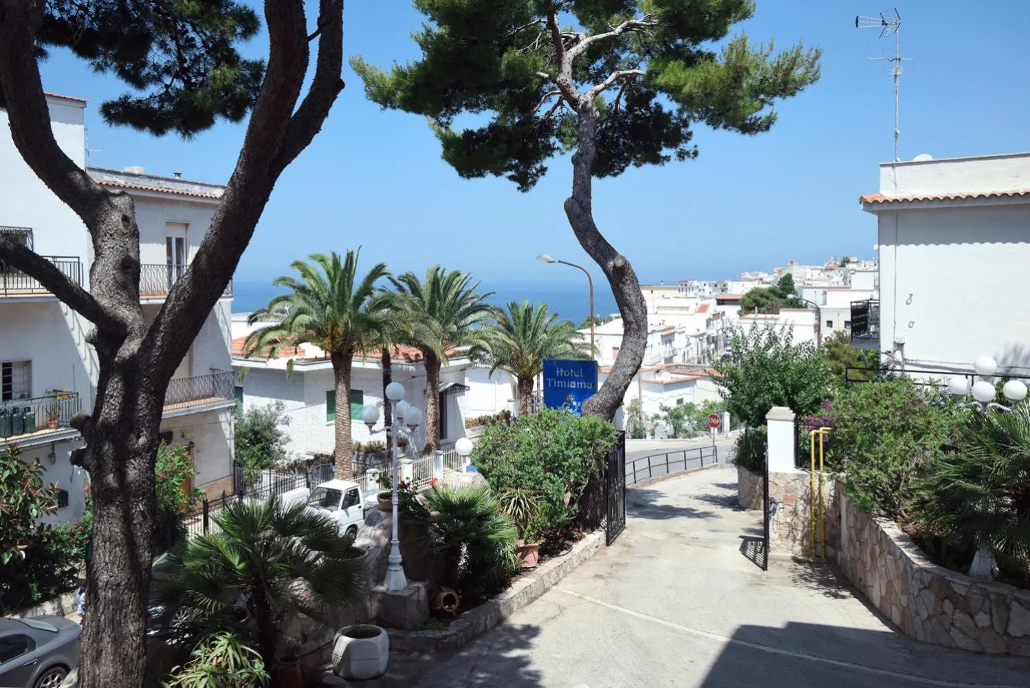 Garden in Hotel Timiama