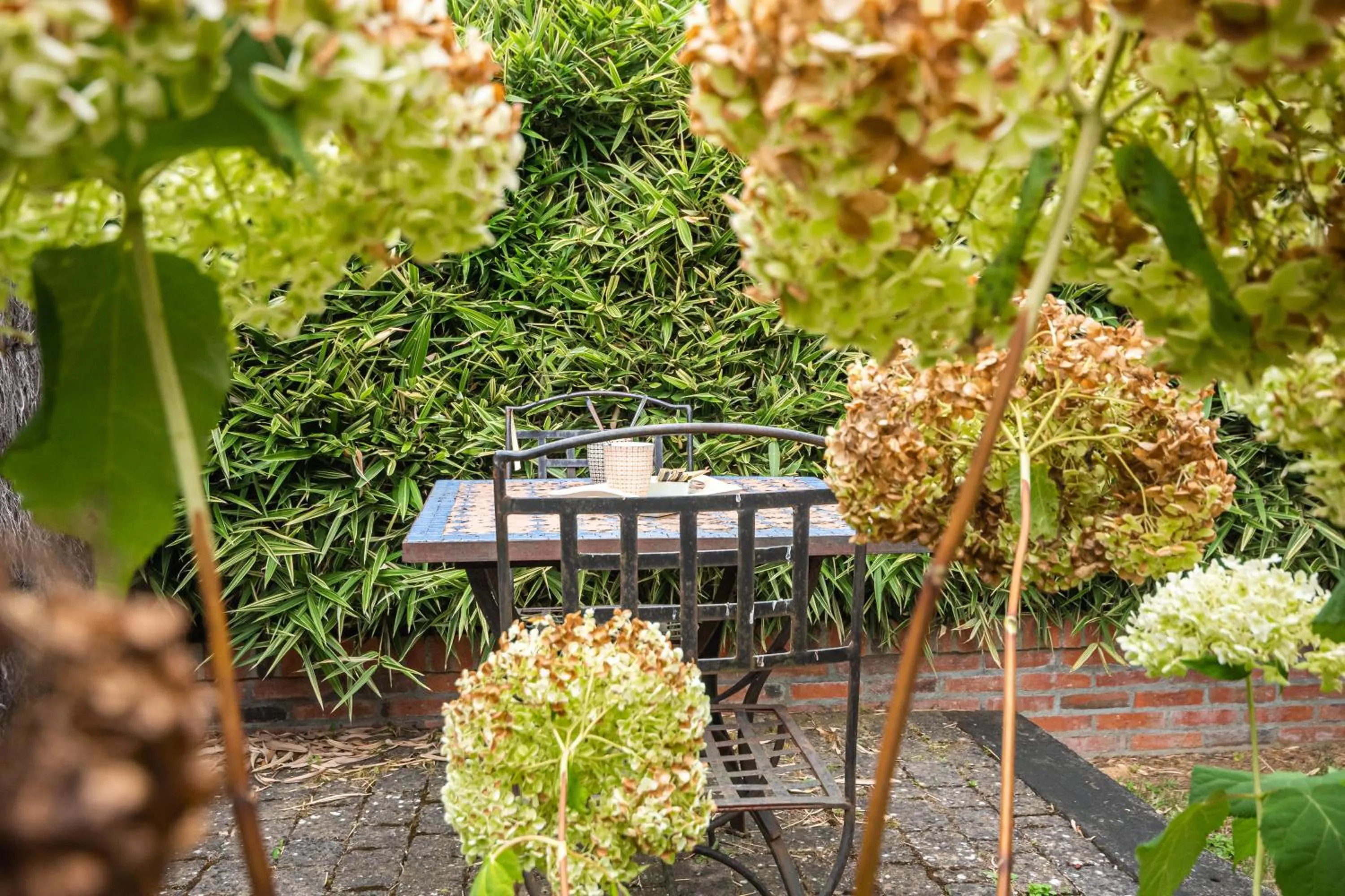 Patio in Le DOMAINE DES ECOLIERS B&B