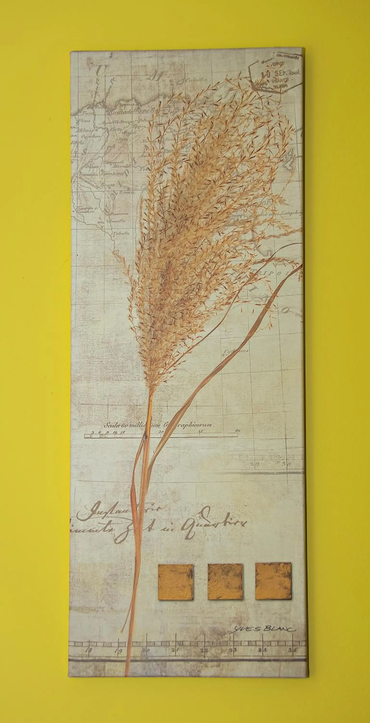 Tiszafa Vendégház Nagykanizsa