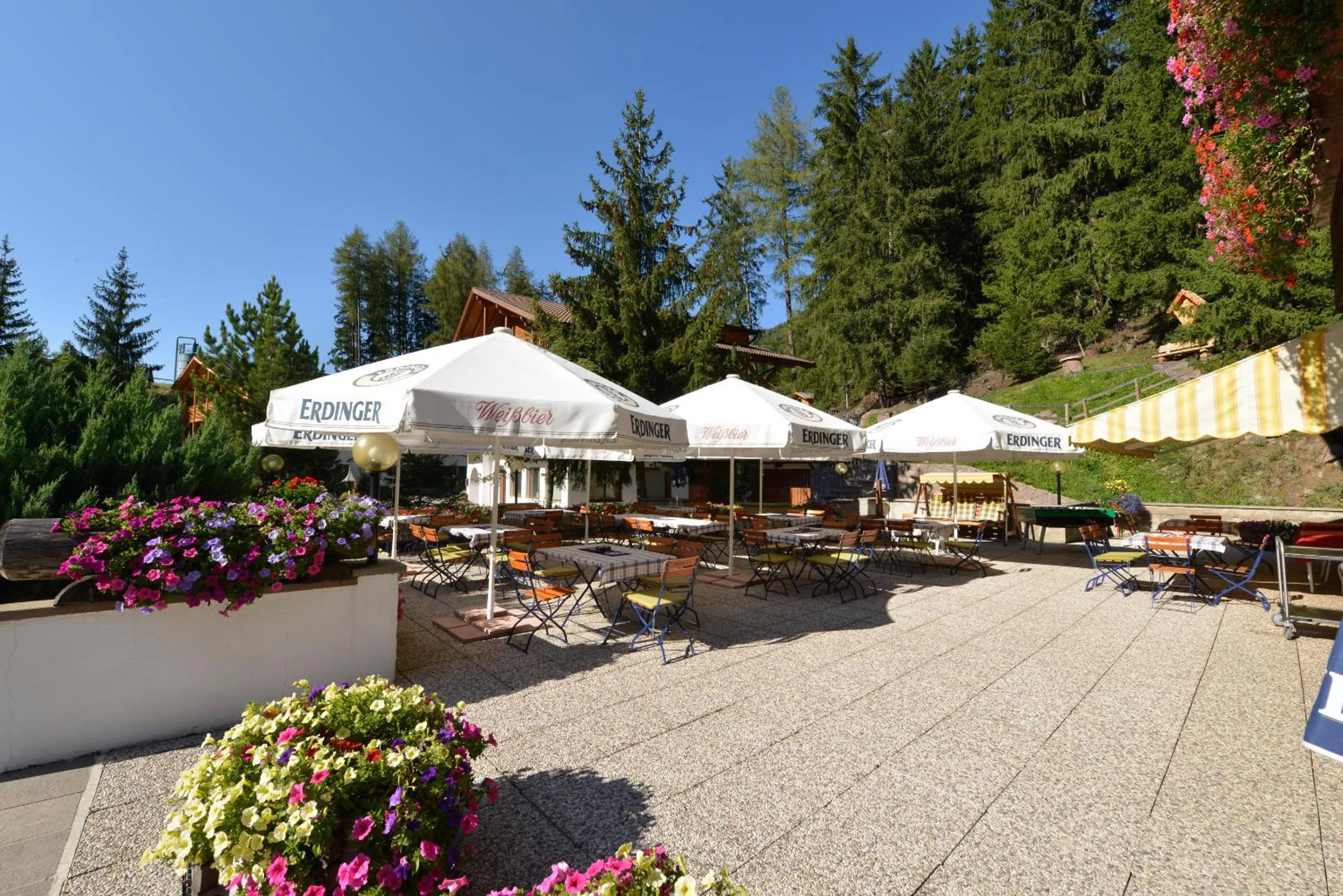 Garden in Hotel Pontives
