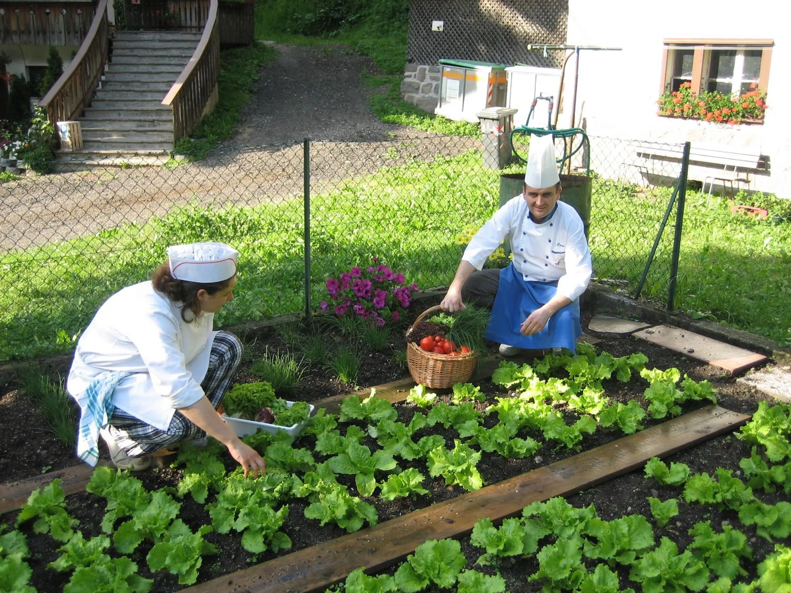 Garden in Hotel Pontives