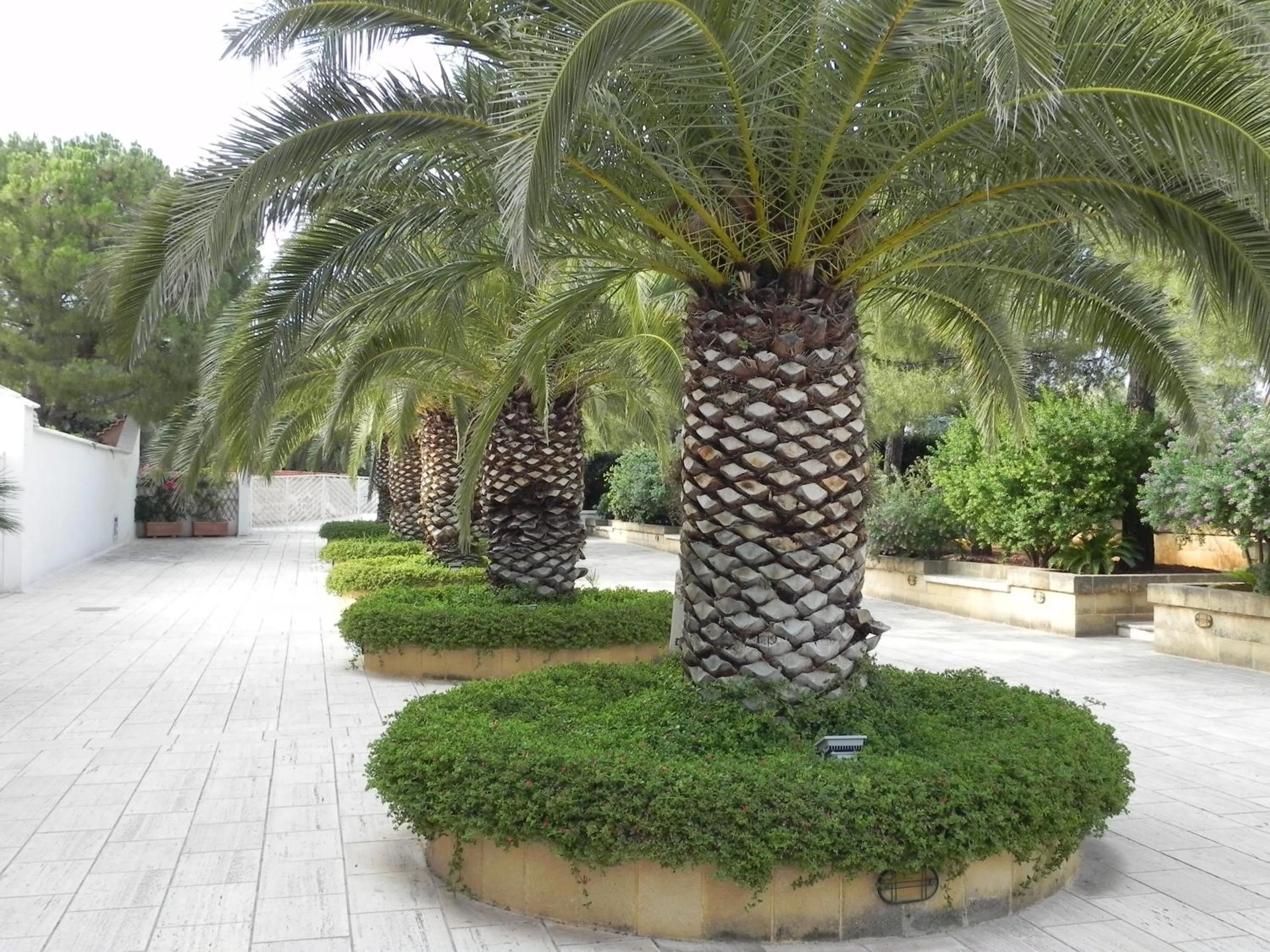 Facade/entrance in Hotel Vecchio Mulino