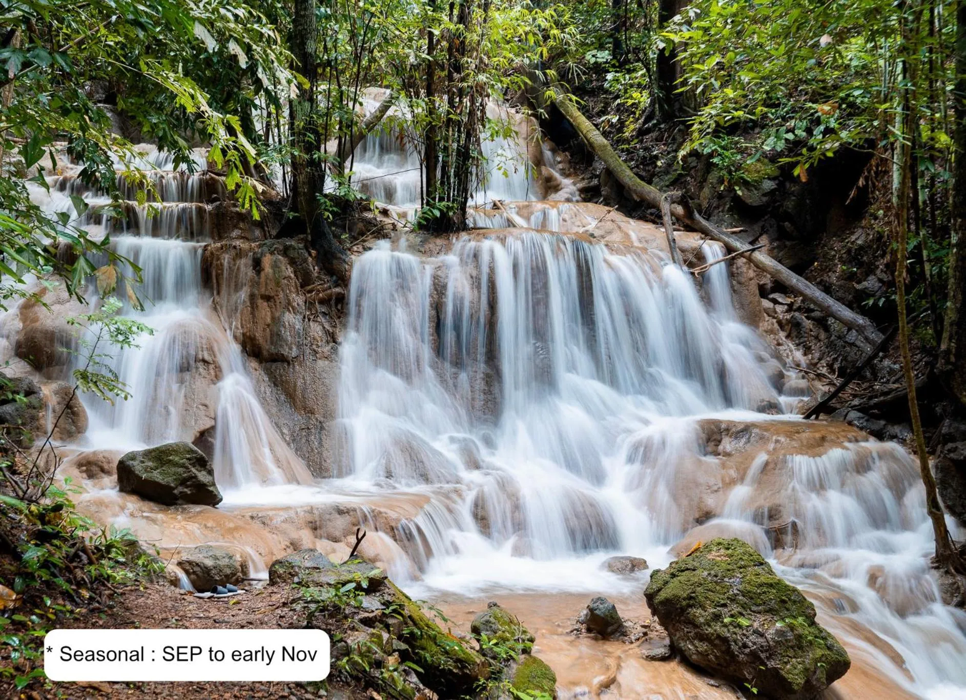 Natural landscape in Home Phutoey River Kwai Hotspring & Nature Resort