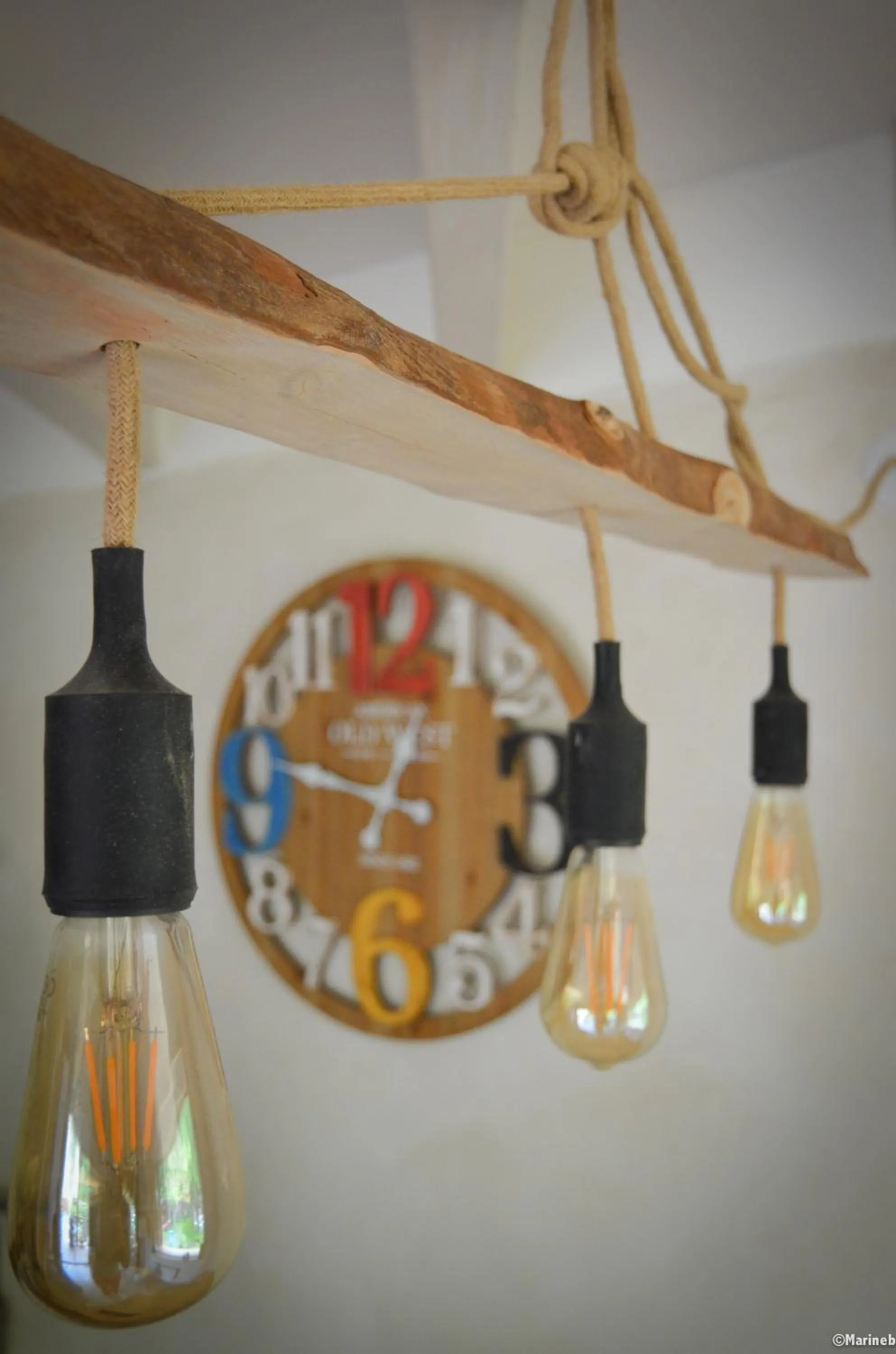 Eco logis le colibri