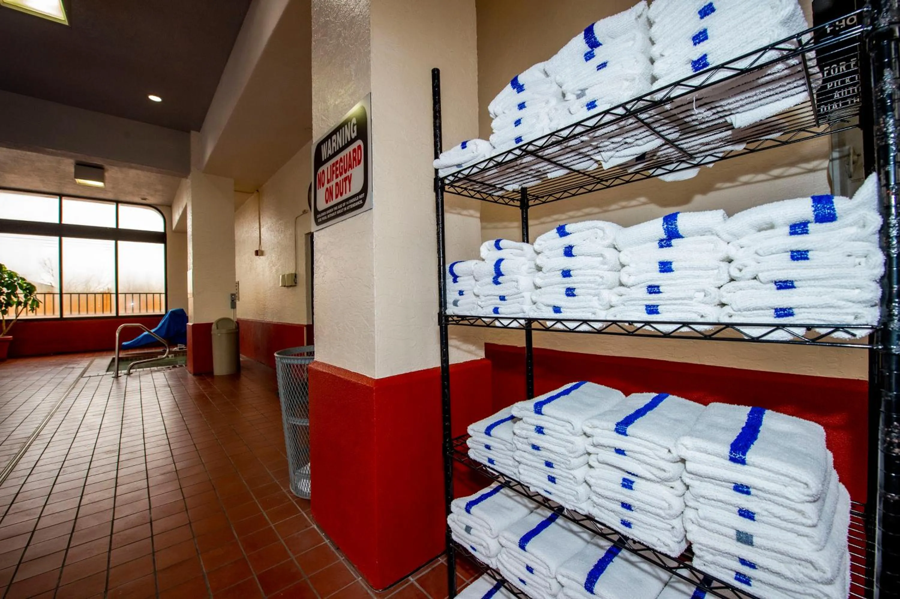 Swimming pool, Bed in Quality Inn Colorado Springs South