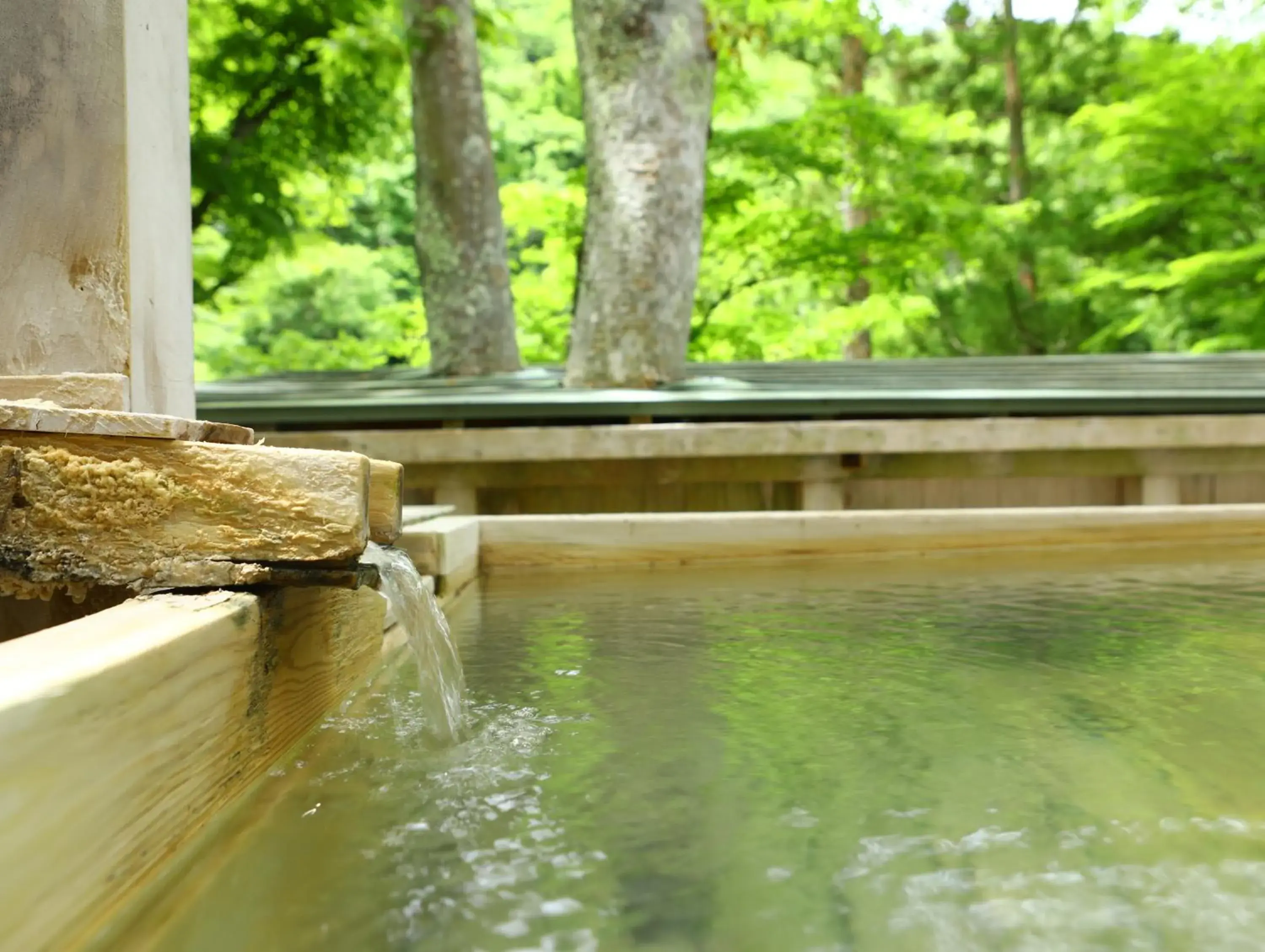 Day in Fukeikan 風景館 Day in Fukeikan 風景館