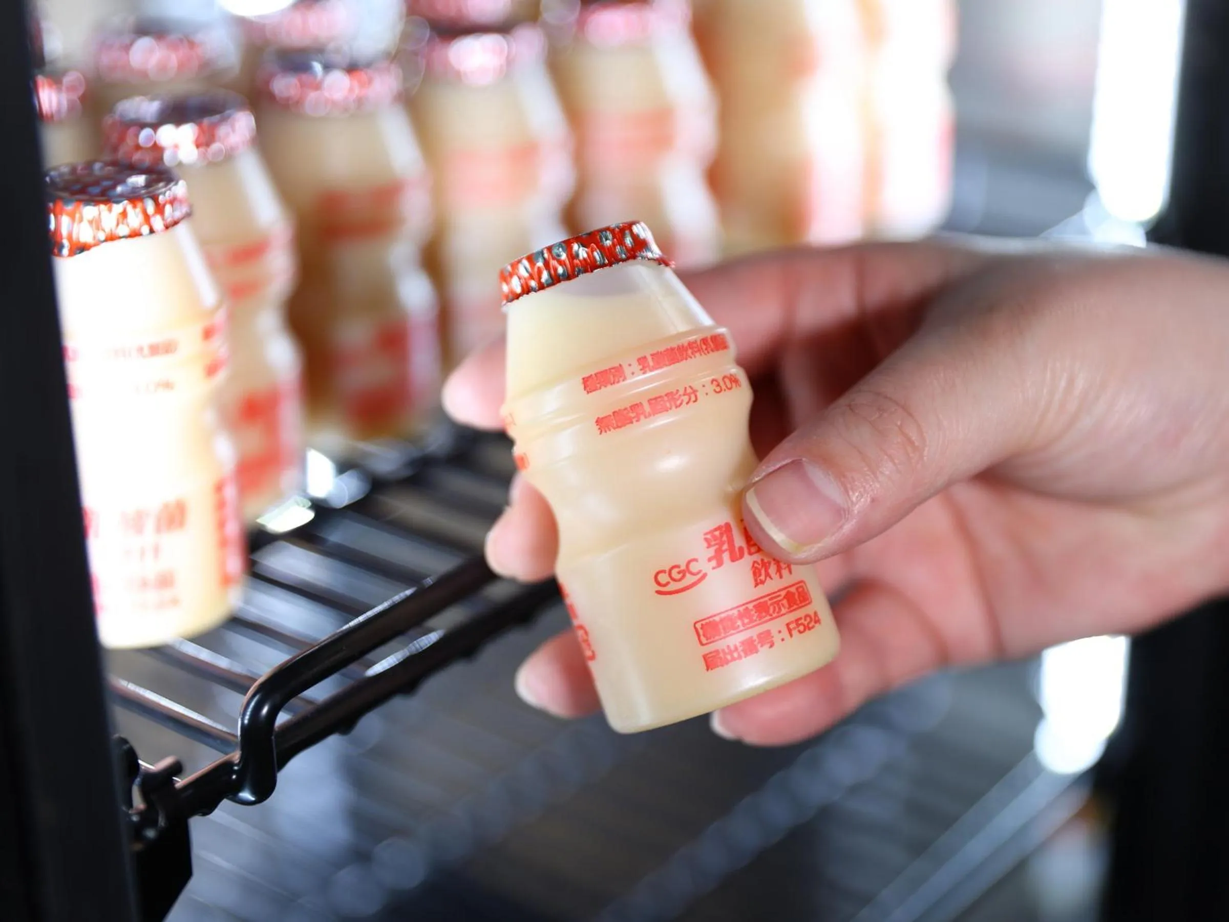 Other in Fukeikan 風景館