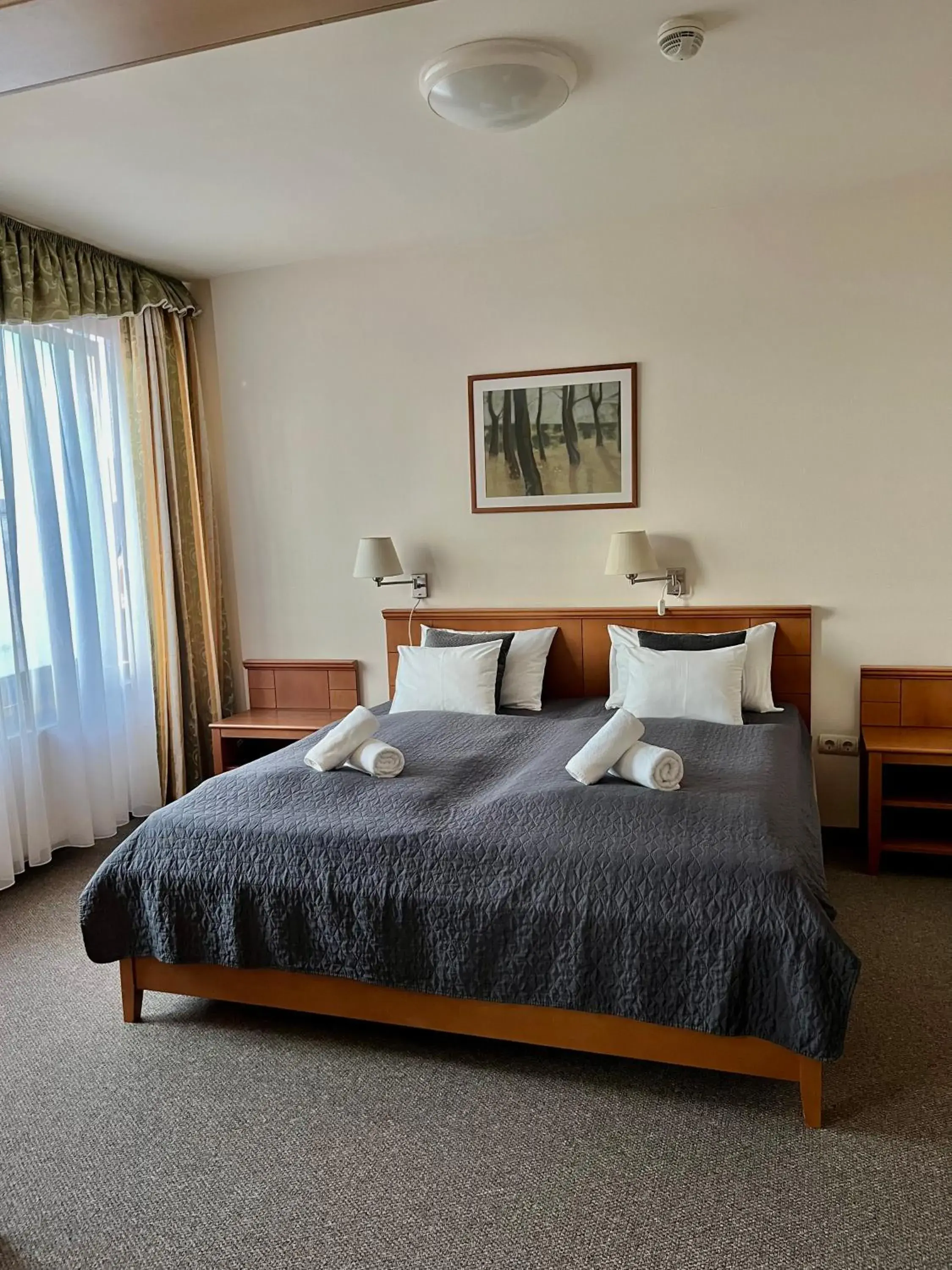 One-Bedroom Suite - single occupancy in Hotel Estella Superior One-Bedroom Suite - single occupancy in Hotel Estella Superior